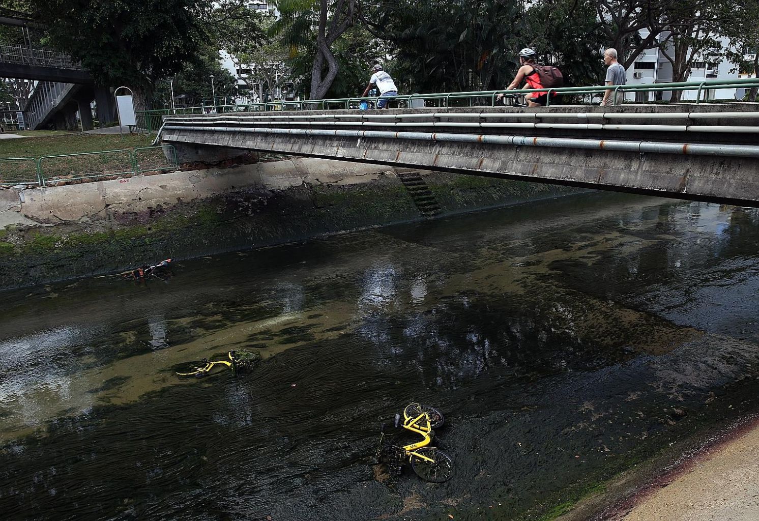 Three shared bikes lying in a canal in Marine Terrace on Monday. Under new rules, users cannot end their rental sessions until their bikes are returned to designated zones.
