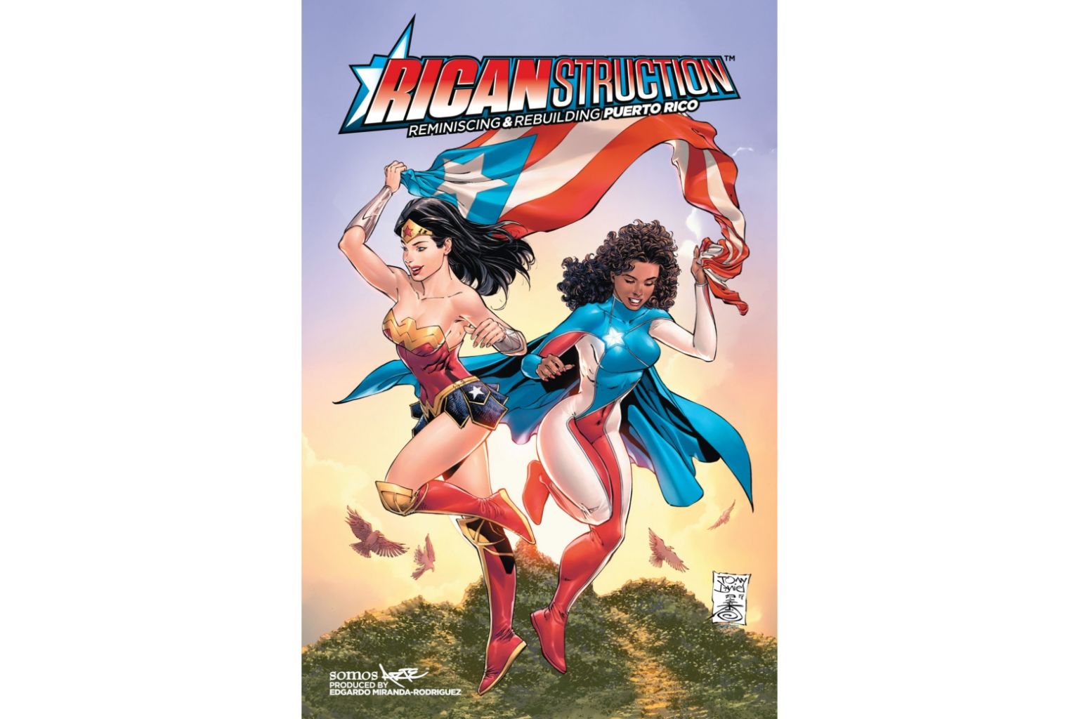 Batman and Wonder Woman to the rescue of storm-battered Puerto Rico | The  Straits Times