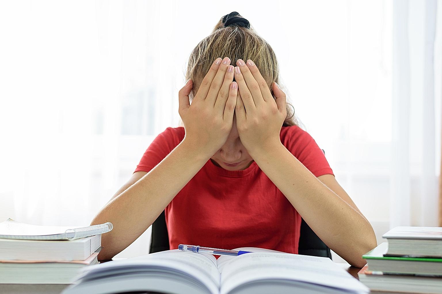 Homework therapists - an amalgam of a traditional tutor and straight-up therapist - provide academic help and emotional support. But the service is not cheap - New York parents generally pay between US$200 (S$263) and US$600 for regularly scheduled i