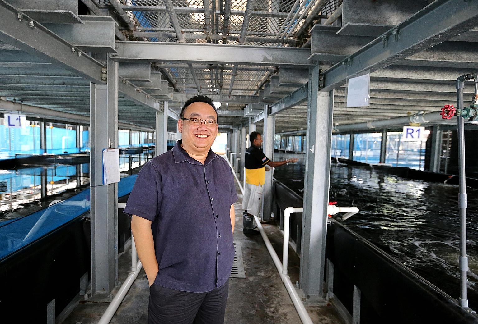 Mr Eric Ng, owner of Apollo Aquarium, is relieved to have been sold the two land parcels, as the leases on his existing fish farms are expiring. He said that the new farm will be fully automated, and yield will go up.