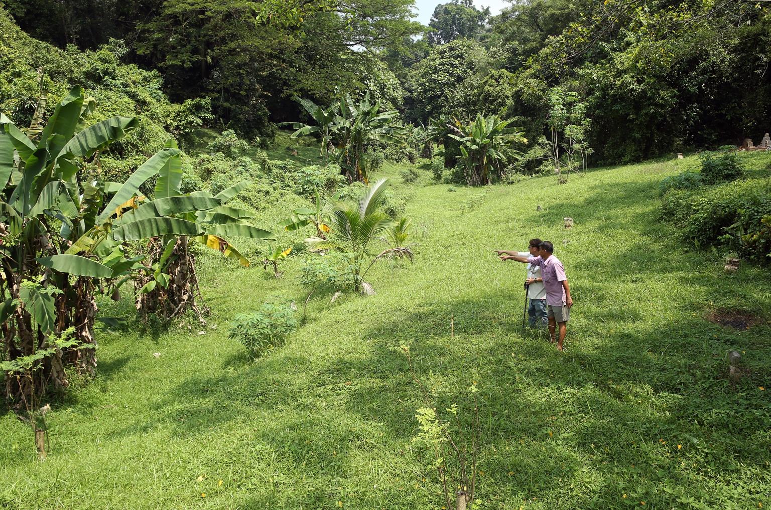 Tomb researcher Raymond Goh (back) with tomb keeper Soh Hung Seng at a valley at the Block 4 area of Bukit Brown Cemetery, where some people believe war victims might lie. More research and archaeological work need to be conducted.