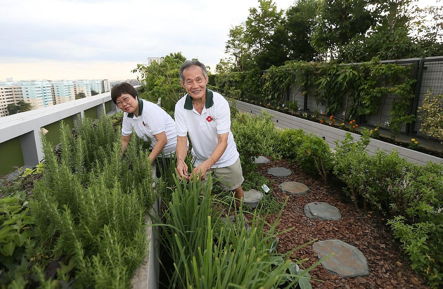 Civil servant Doris Yuen, 59, and her retiree husband Yip Keng Luen, 72, at the rooftop community garden in the 11-storey Kampung Admiralty. Other facilities in this HDB project include a medical centre and a sheltered plaza for community activities 