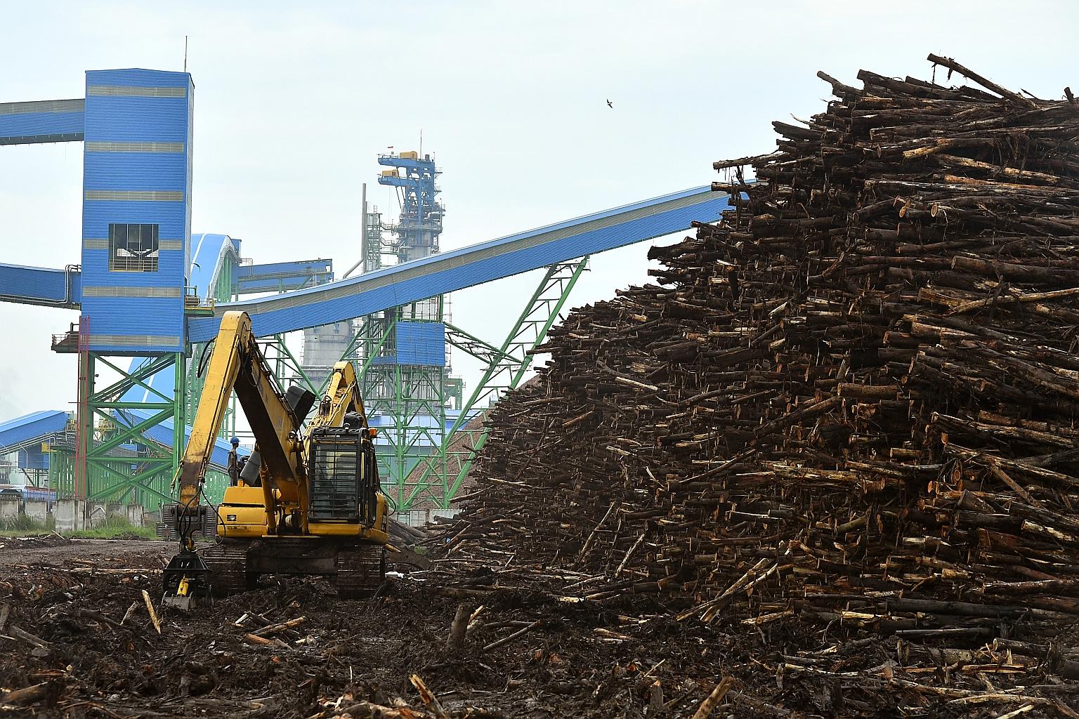 An Asia Pulp and Paper mill in Palembang, Sumatra. APP said that the businesses cited by Greenpeace linked to the clearing of forests and peatland were not under "the direct jurisdiction of APP".