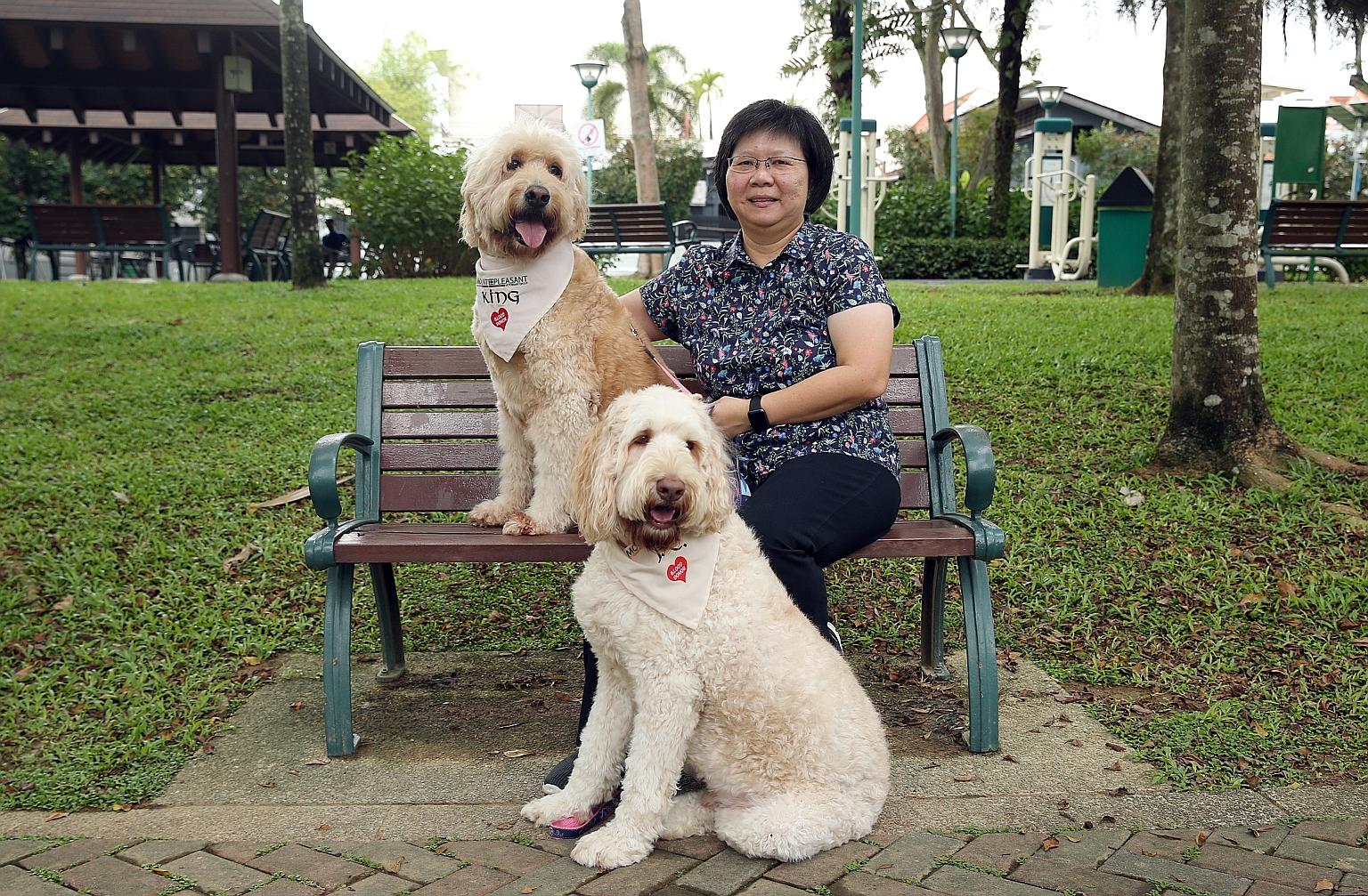 Dr Josephine Yong with her dogs King (left) and Johnny Cupcake. Both dogs have been donating blood for the past two years. With no commercial animal blood bank here, there is a need to grow a pool of regular blood donors.