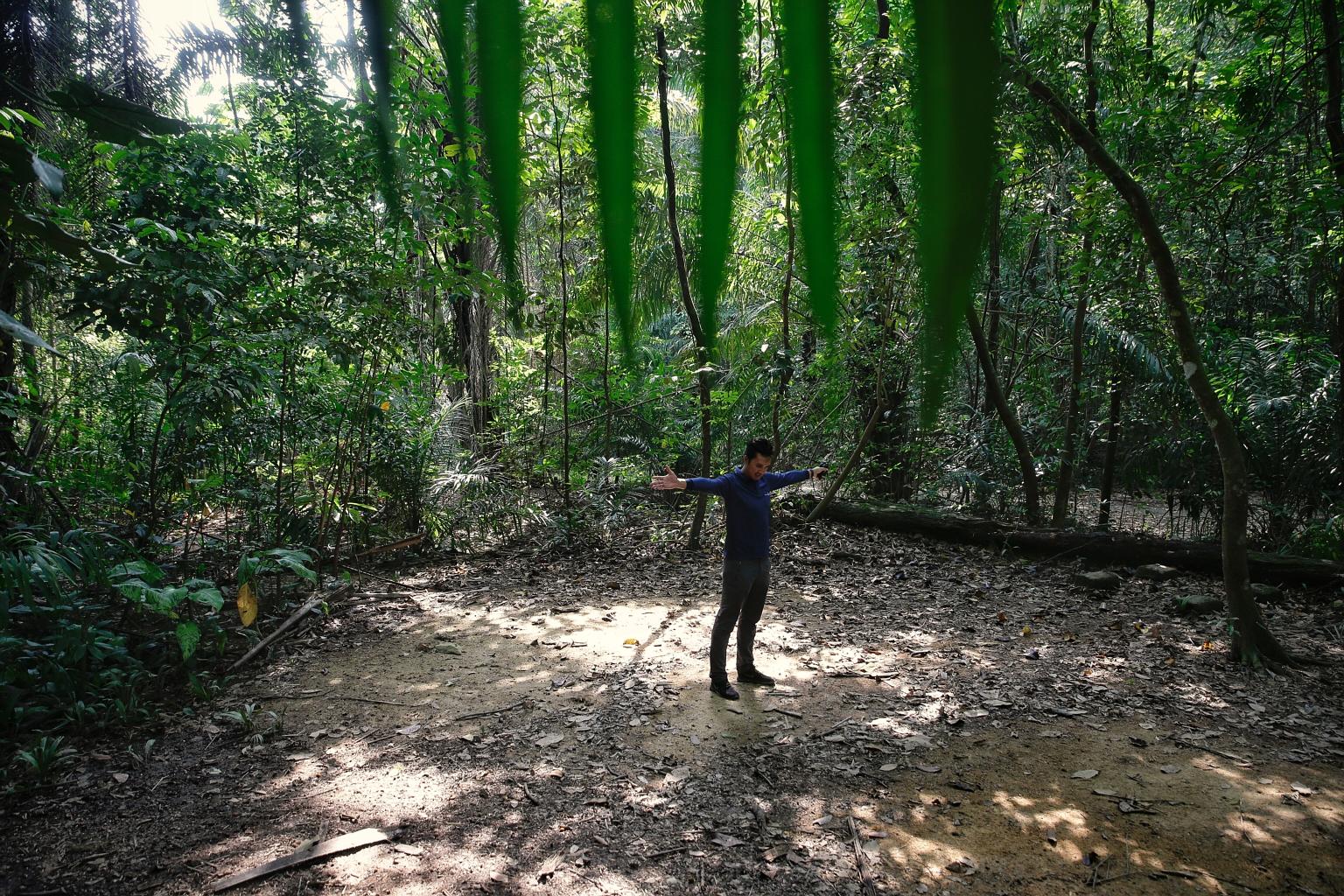 Right: Site investigation works being carried out last year at the Central Catchment Nature Reserve for the Cross Island MRT Line. The works involved drilling 16 boreholes to extract soil samples. Far right: An LTA engineer showing the approximate lo