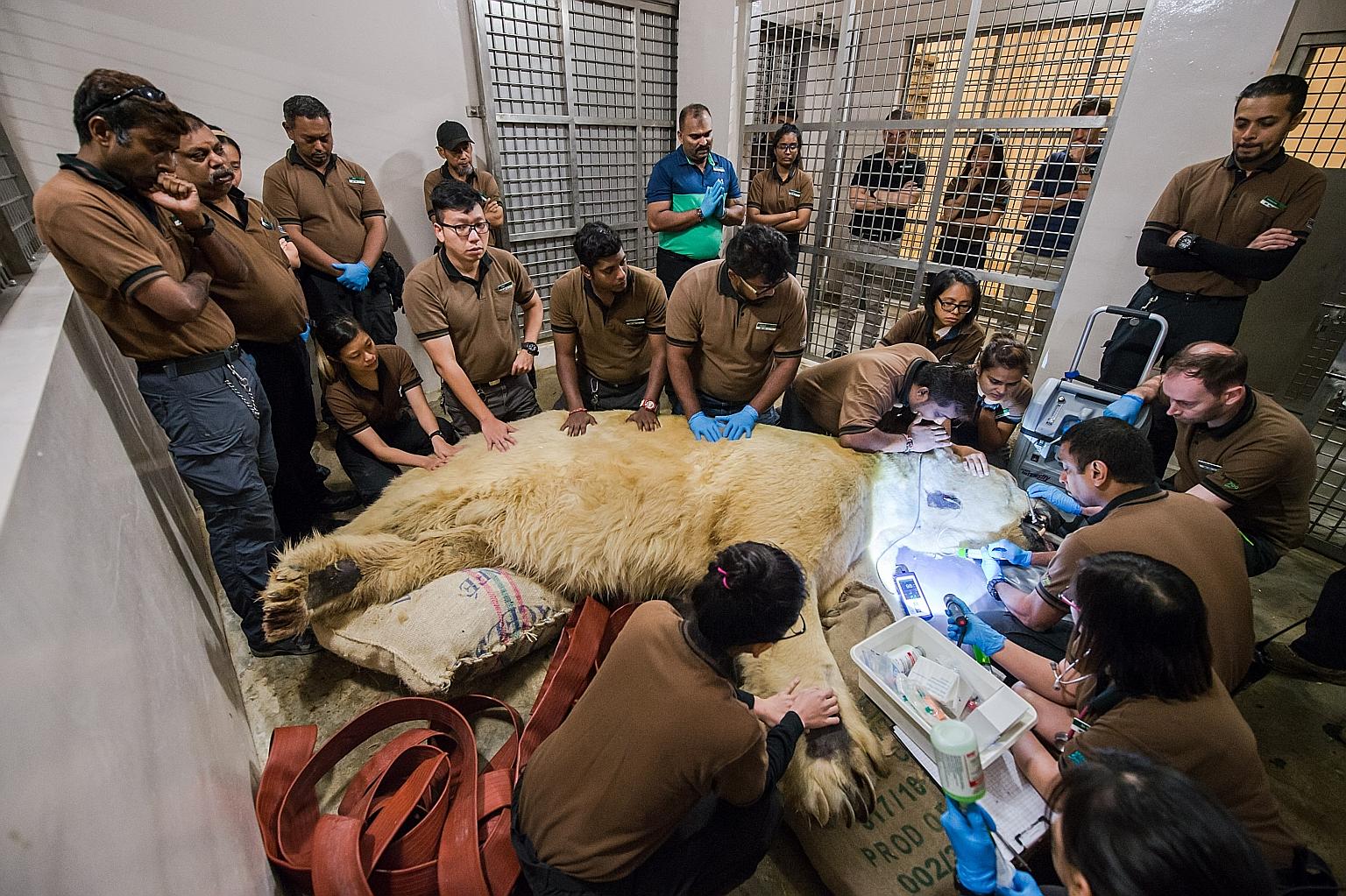Inuka's family of caregivers past and present gathered around him before he was put to sleep on April 25.