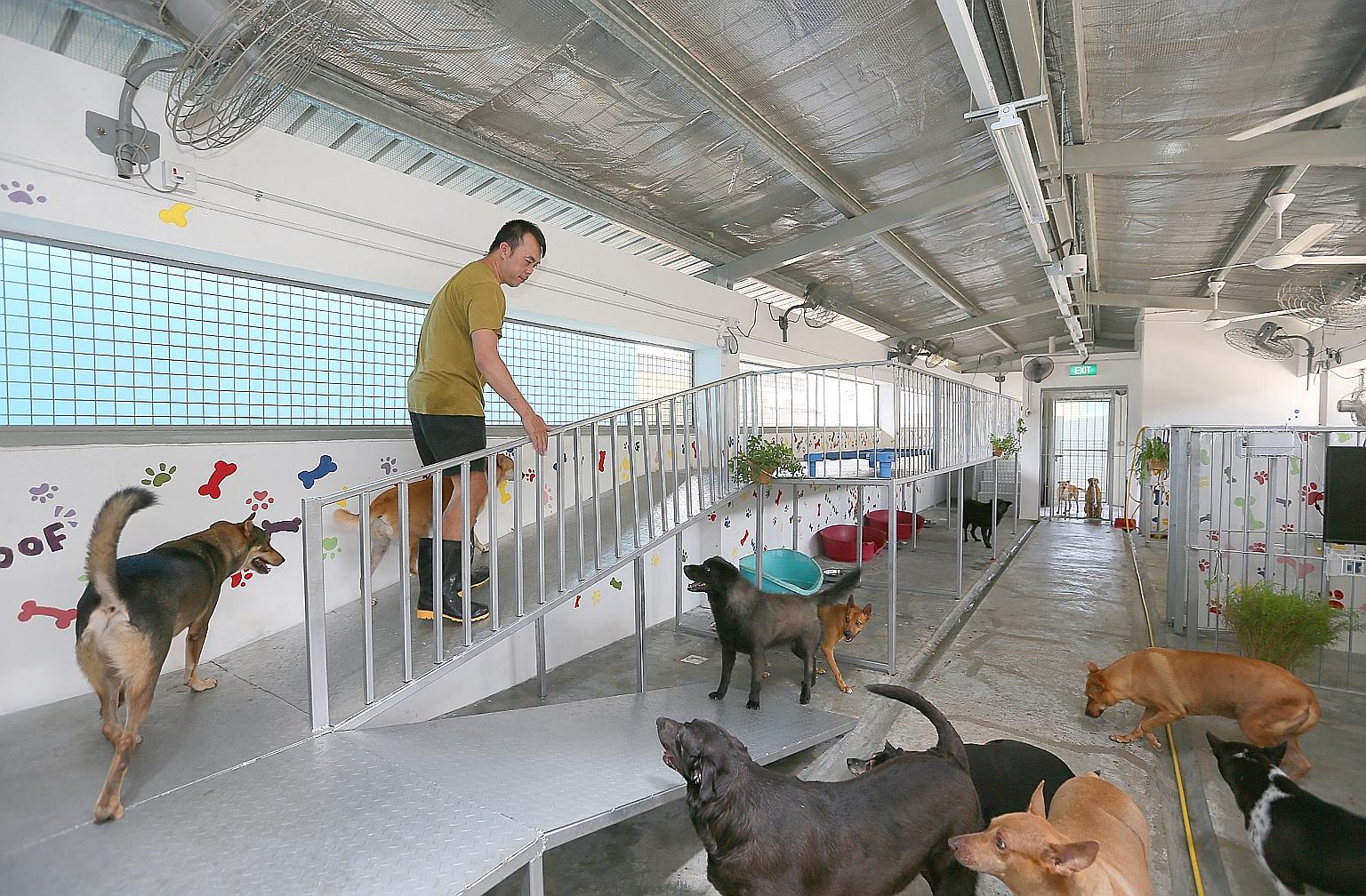 One of the units in the AVA's The Animal Lodge in Sungei Tengah. Some shelters had been operating rent-free in Pasir Ris and now face the prospect of forking out thousands of dollars each month at the new purpose-built facility.