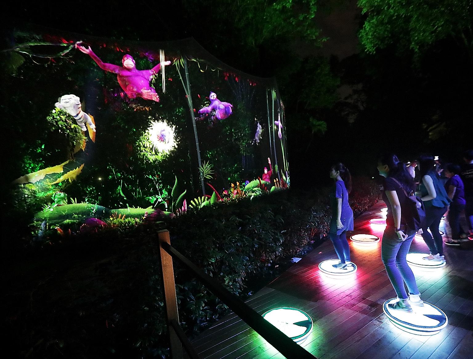 The zoo will launch its Rainforest Lumina attraction tomorrow - a trail featuring interactive light and sound installations showcasing animals like orangutans.