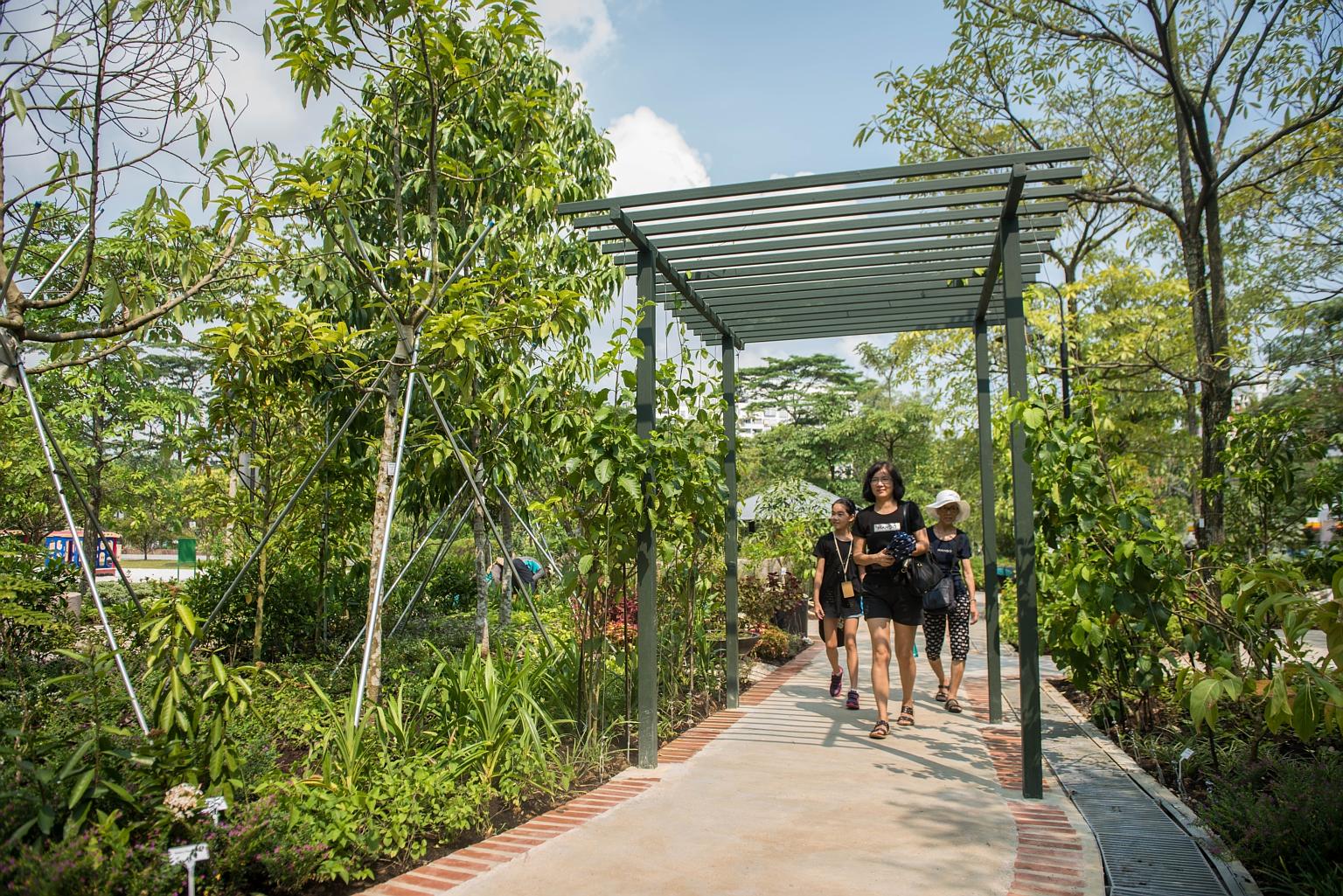 The Therapeutic Garden at Choa Chu Kang Park, which was opened yesterday, aims to make it easier for people to interact with nature and help improve the mental well-being of visitors of all ages, especially seniors.