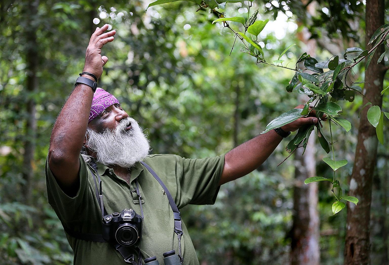 The nature community, including veteran wildlife expert Subaraj Rajathurai, believes the roadkills happened because Mandai Park Development did not take enough care to reduce environmental impact.