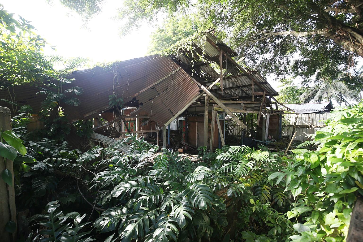 House 63C, near Pulau Ubin's jetty, is among the houses that will be restored.