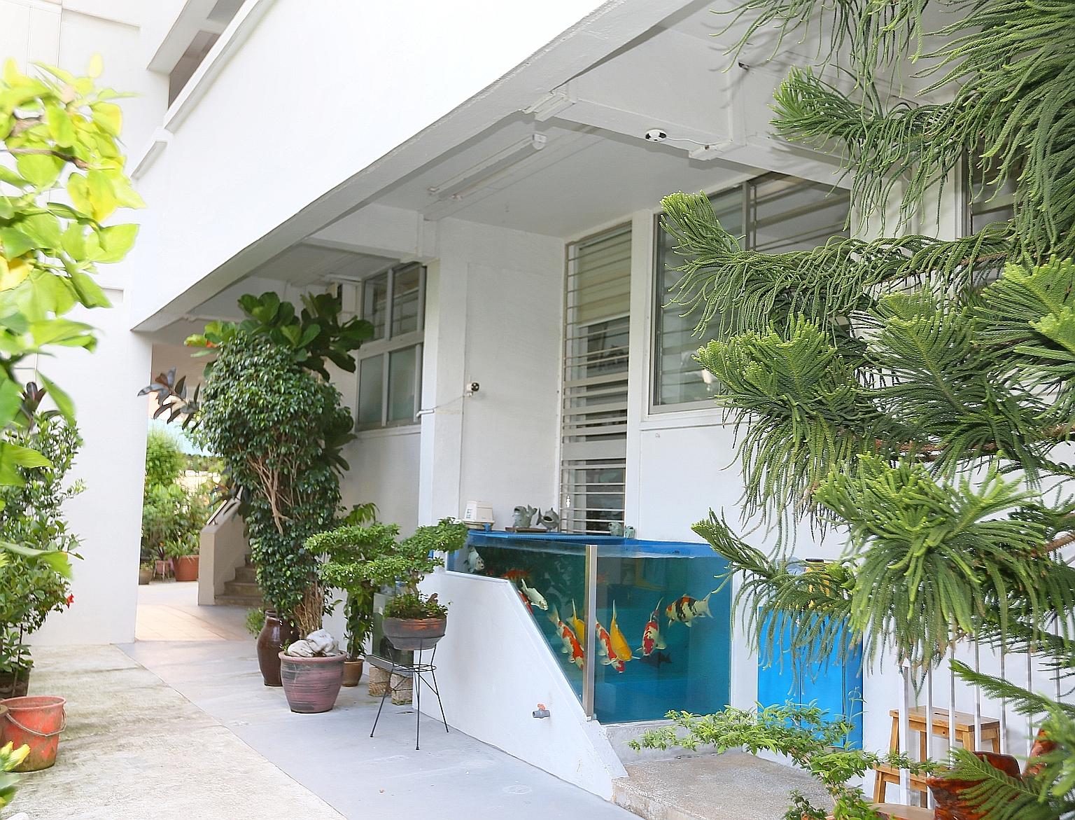 The fish tank, built on a multi-step entrance of a ground-floor flat in Tampines Street 41, contains nine koi fish and two sucker fish. Though the entrance is blocked, the residents can access their home through the adjacent unit, which is also owned