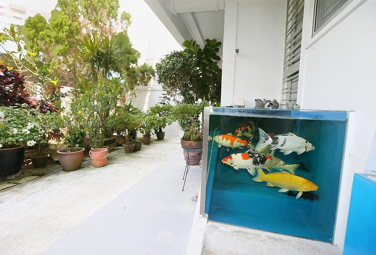The owner of this HDB flat at Block 415 Tampines Street 41 has built a fish tank on the steps leading to his unit.