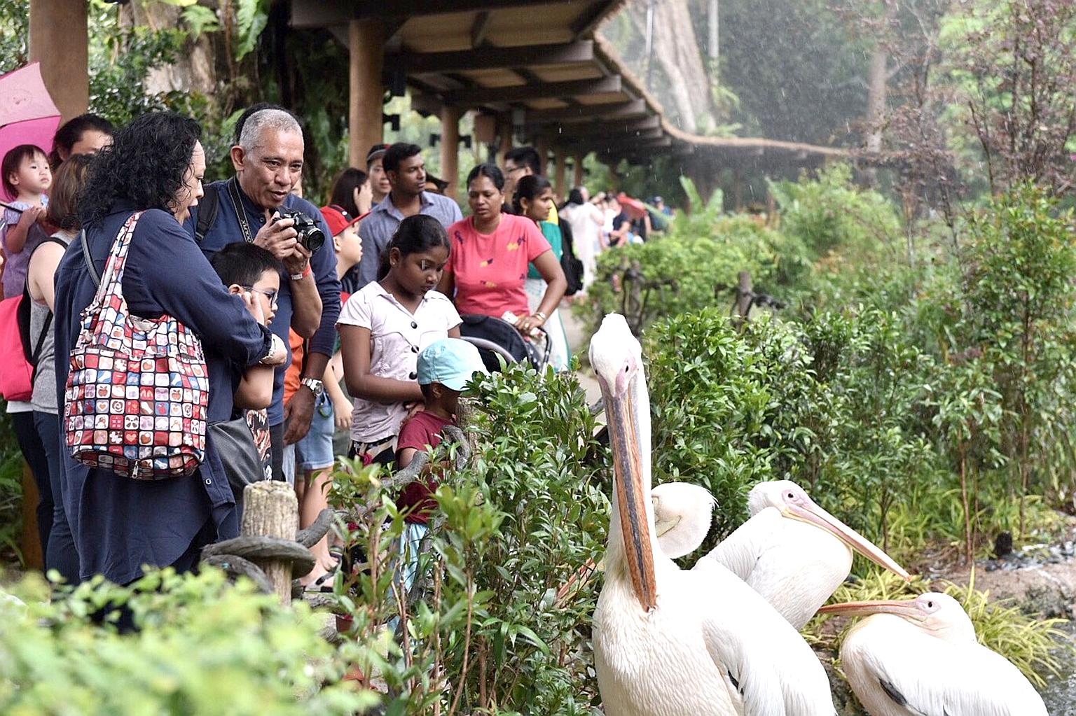 Mr Hasman Tahir (with camera), 53, and his wife, Madam Saminah Abdullah, 47, with their son Aqashah Tahhirruddin Tahir, seven, at the Singapore Zoo on Sunday morning. The People's Association and Wildlife Reserves Singapore have teamed up to launch a