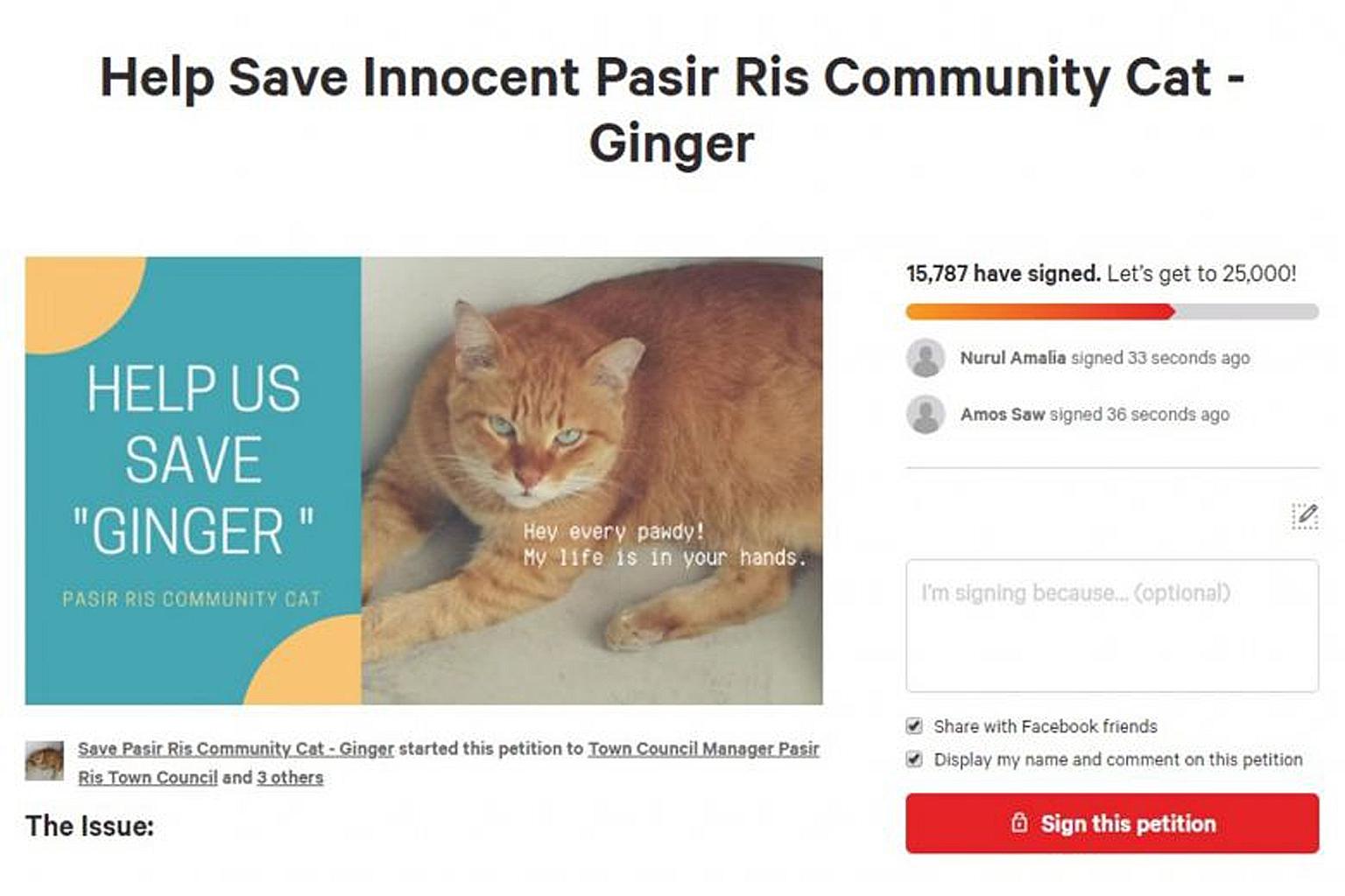 The petition has received over 19,000 signatures so far. The town council has said there was never any plan to remove the cat.