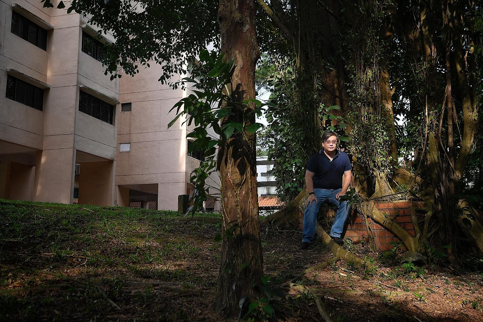 Left: Dr John Kwok, a research fellow at the S. Rajaratnam School of International Studies, at one of the shafts. Above: A Ficus tree growing over what appears to be a well or an underground shaft at Normanton Park.