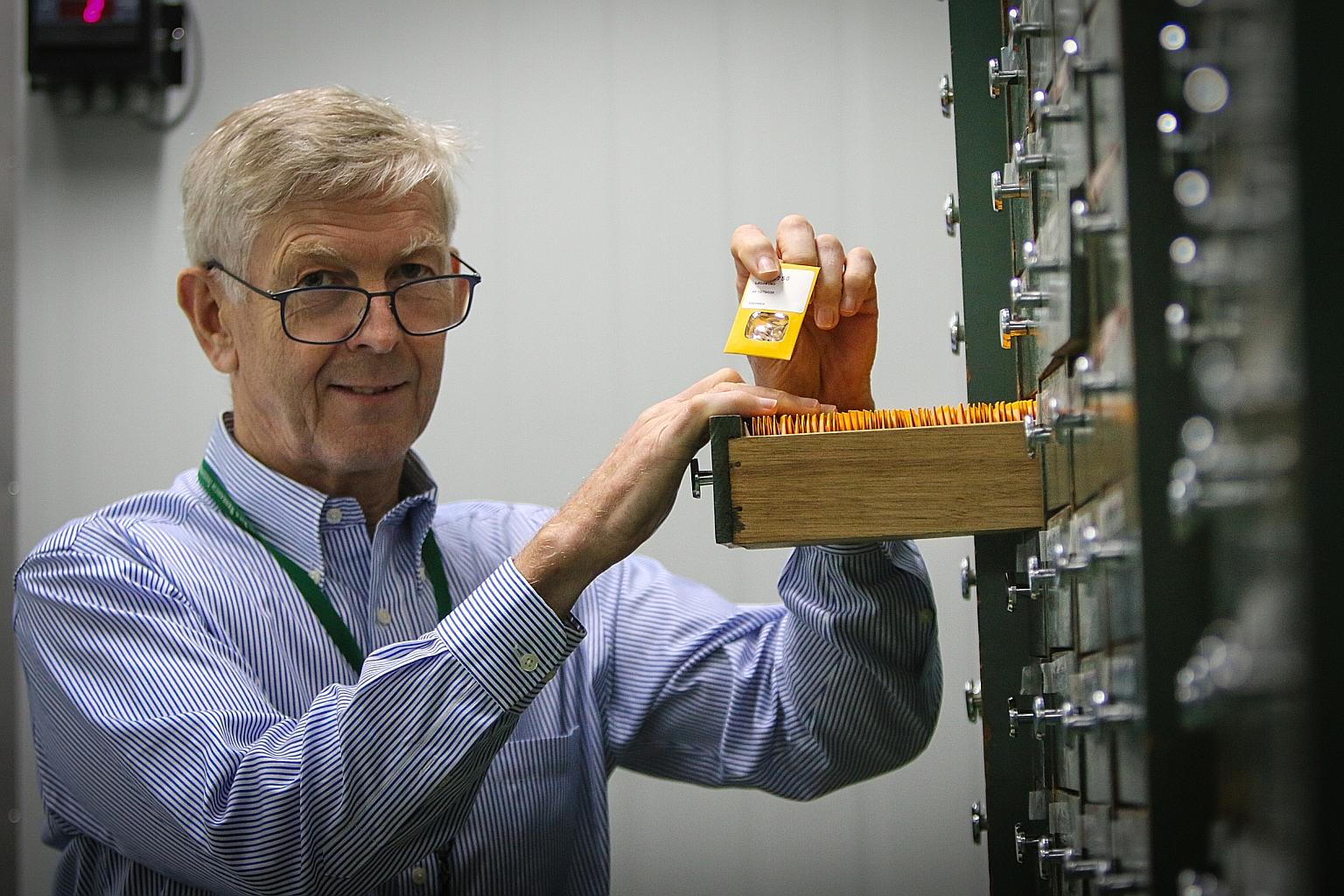 Evolutionary biologist Ruaraidh Sackville-Hamilton, who manages the gene bank of the International Rice Research Institute, checking samples of rice stored in packets at the gene-bank facility in Los Banos in the Philippines.