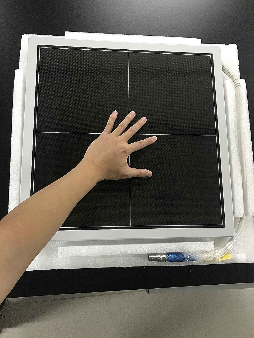 The X-ray image of the beetle specimen (left) was taken by National University of Singapore researchers using a digital camera. This was possible because the sensor they developed (above) uses nanocrystals that are thin enough for visible light to pa