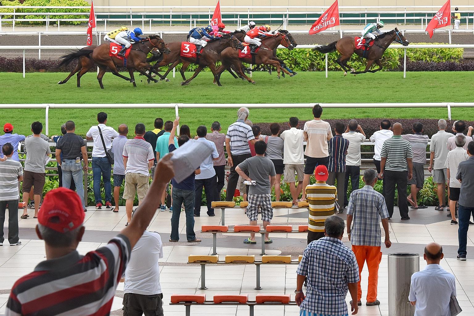 Daily horse-racing operations and the Turf Club in Kranji will remain under the Singapore Turf Club, while betting functions will be run by Singapore Pools.
