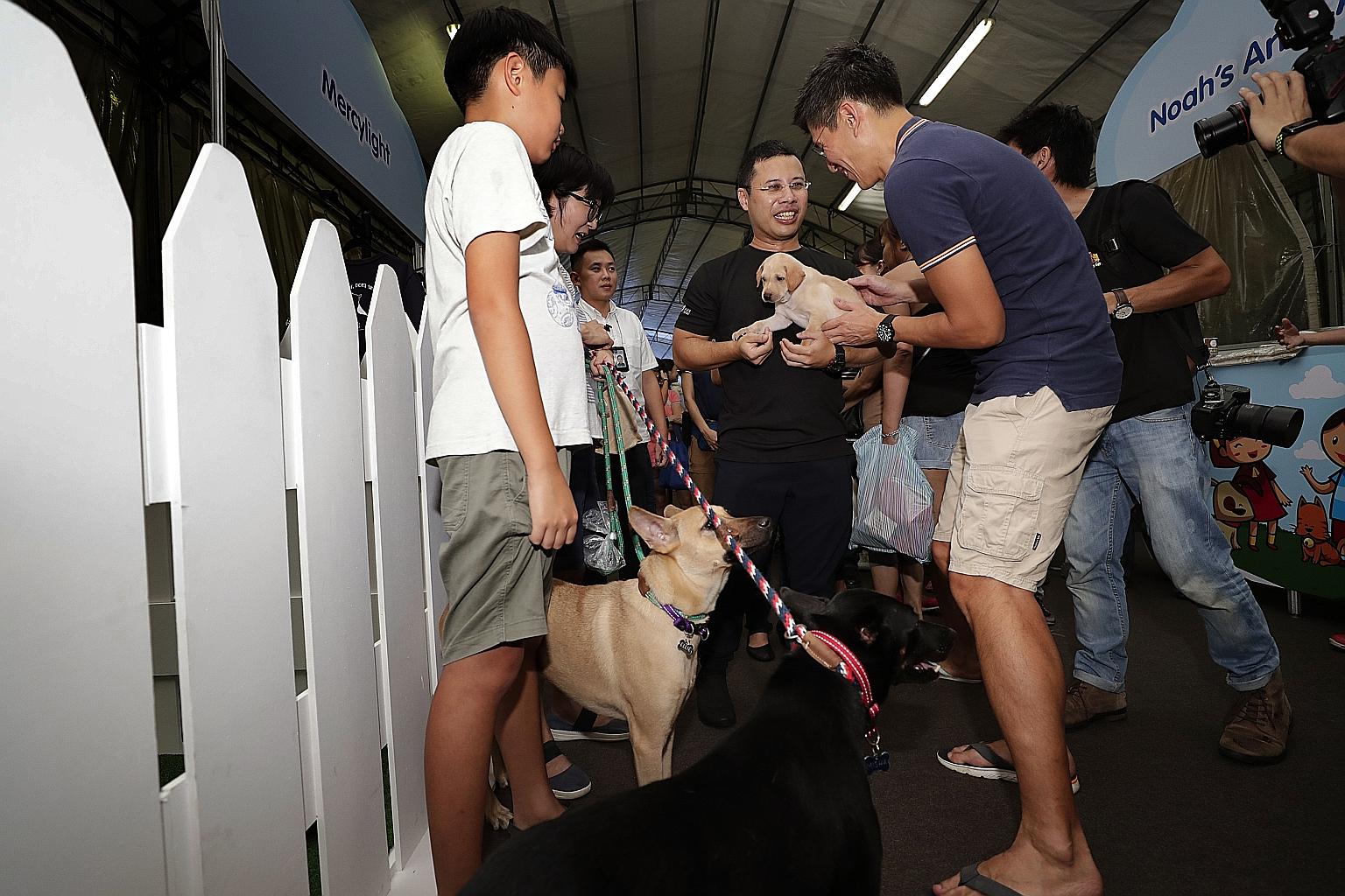 Mr Desmond Lee, Minister for Social and Family Development, holding a puppy available for adoption as he mingles with pet owners during his tour of the Happy Pets, Happy 'Hood carnival at Bukit Panjang yesterday.