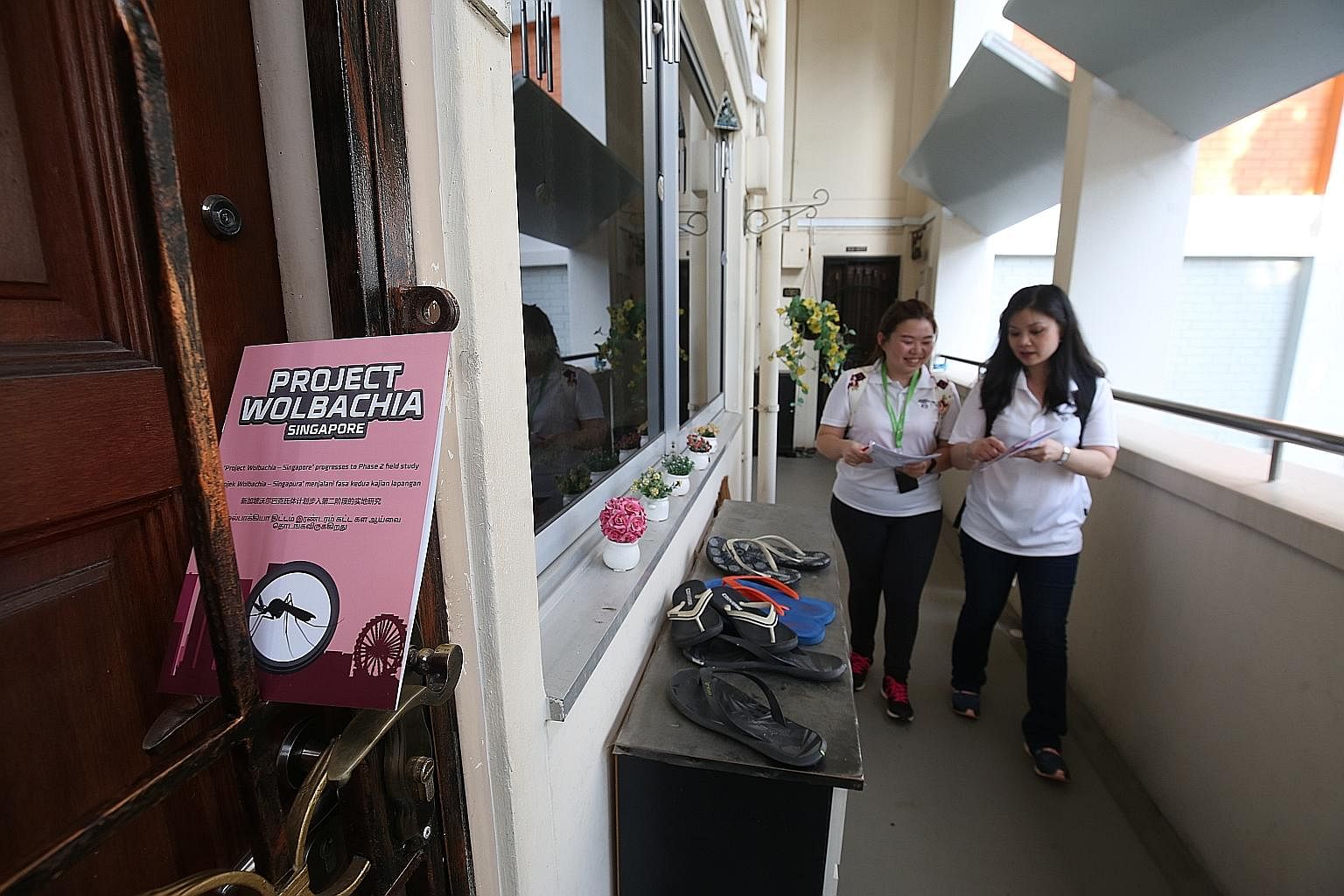 NEA staff distributing brochures to residents in Tampines in February to inform them about the second phase of Project Wolbachia and the release of Wolbachia-infected mosquitoes at HDB blocks and on higher floors. The mosquitoes were also released mo