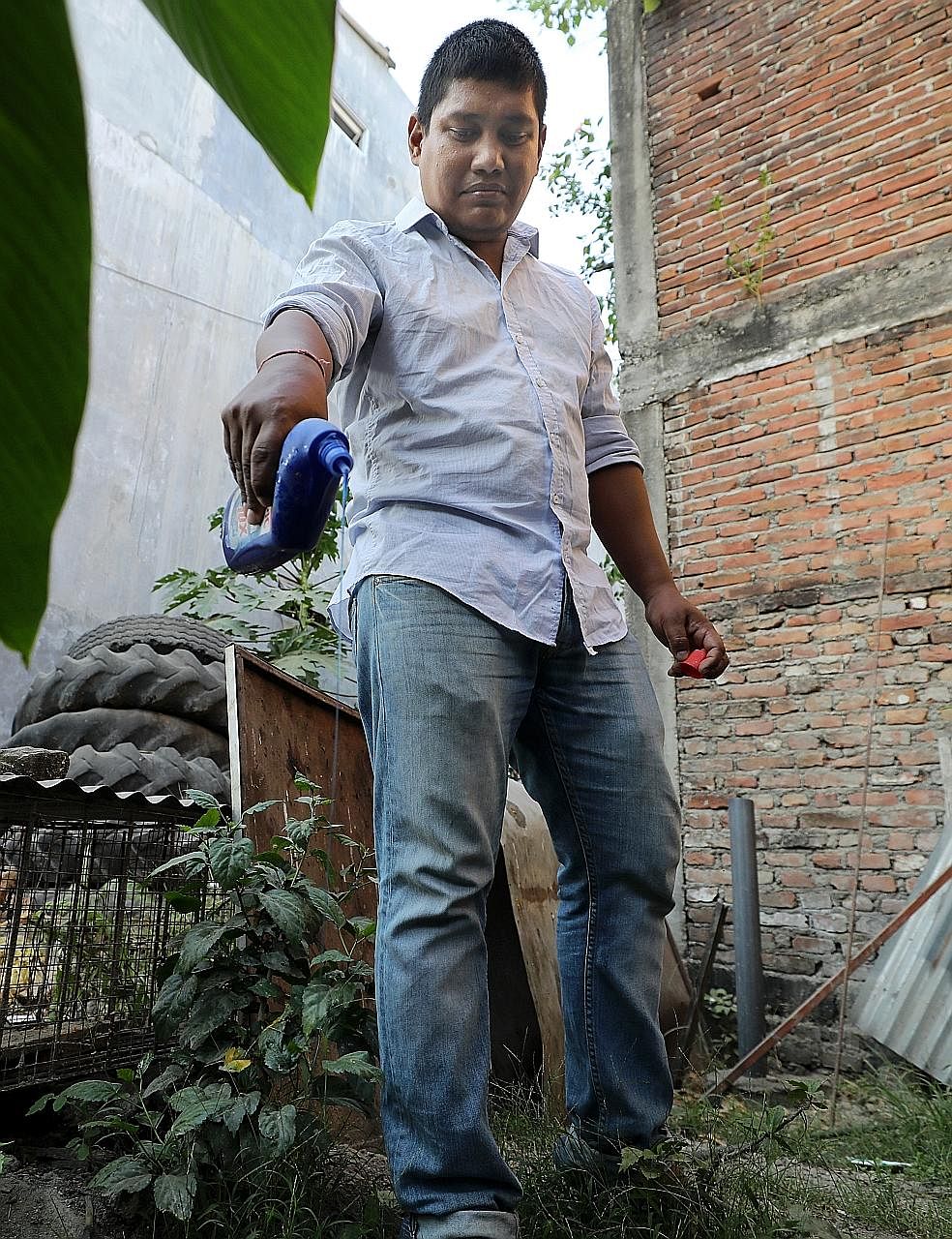 Mr Rana pouring cleaning detergent into a pool of stagnant water at the back of his home, as a preventive measure against mosquito breeding.