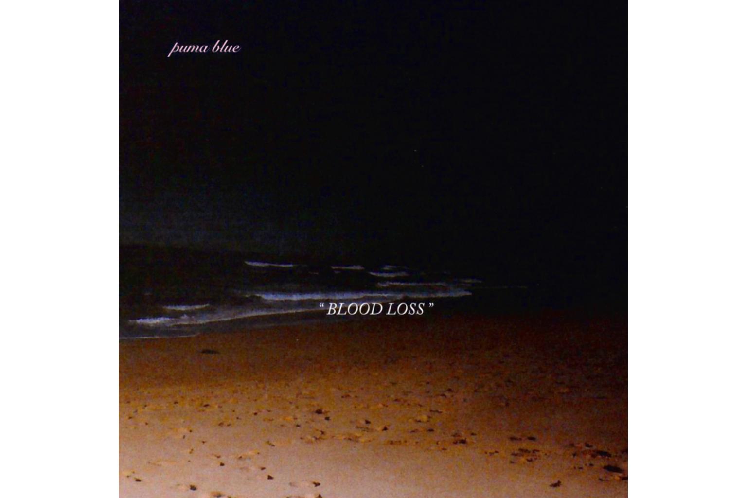 Music review: Puma Blue is the latest genre-defying musician from