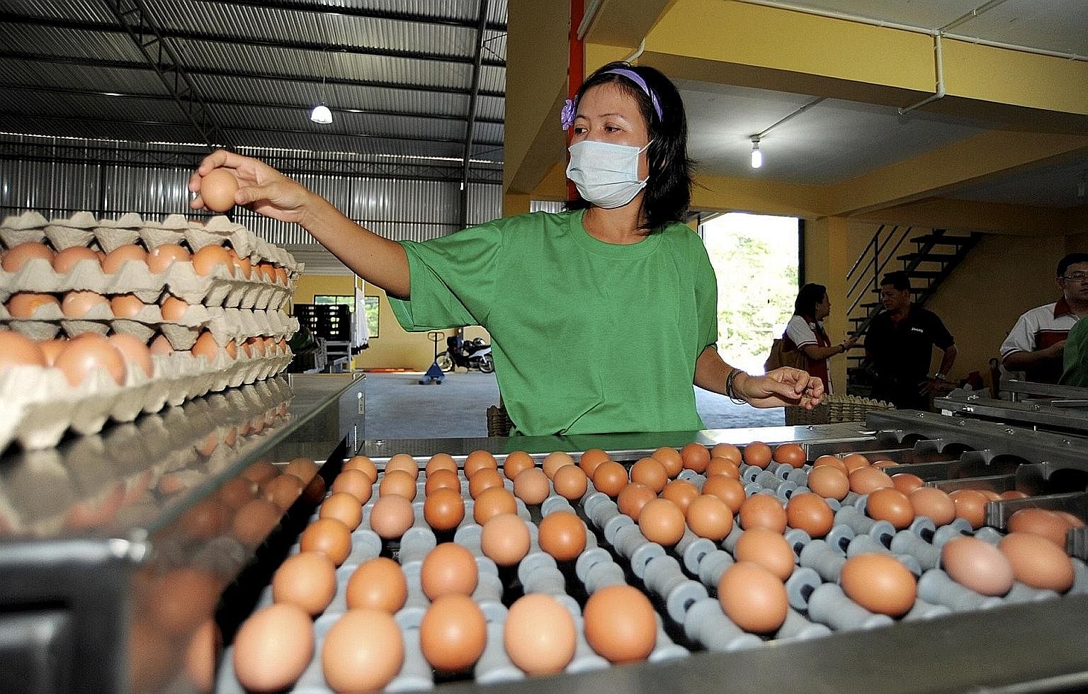 A worker at a chicken egg processing factory in Kuching. Malaysian Minister Saifuddin Nasution Ismail said on Monday that the country was looking into limiting, or stopping, the export of eggs to ensure sufficient supply for the domestic market.