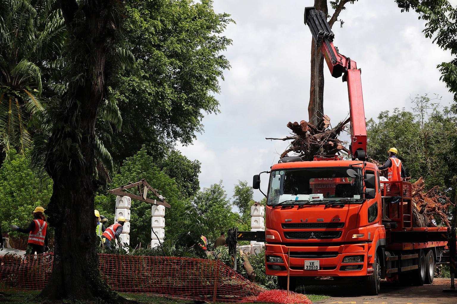 Workers clearing the uprooted tree and debris at the site of the damaged shelter at Sembawang Park yesterday. The affected area has been cordoned off to facilitate tree clearance works, but the rest of the park remains open to visitors.