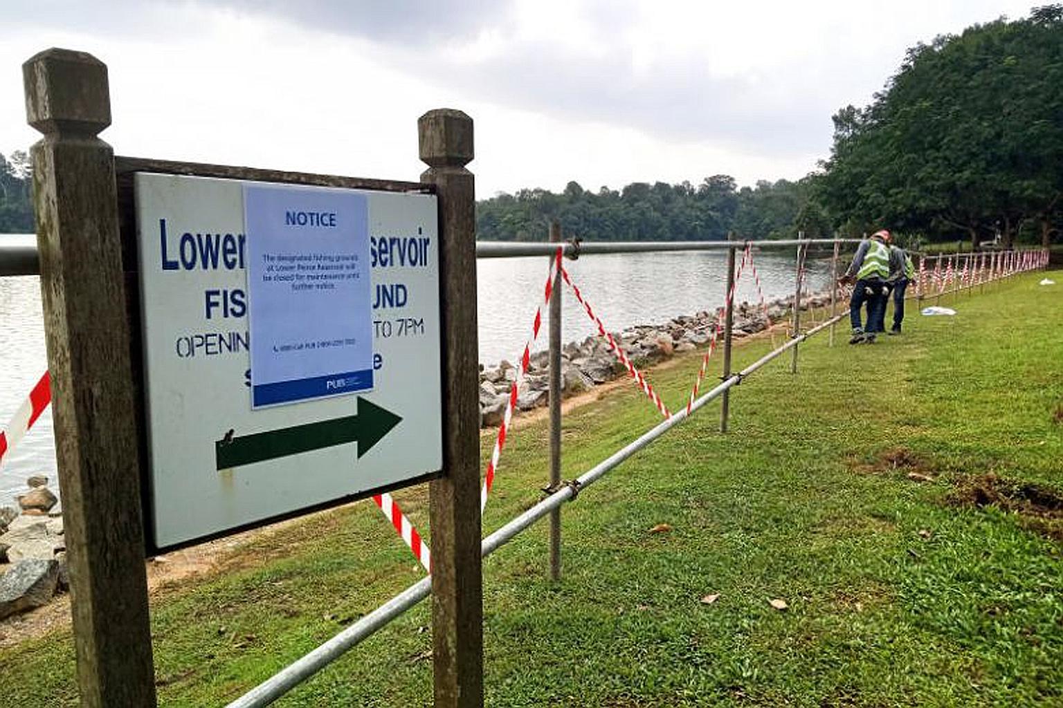 Designated fishing grounds at Lower Peirce Reservoir and Upper Seletar Reservoir will be closed until further notice, national water agency PUB said. The move comes after motoro stingrays were spotted recently. The animals may have been released into