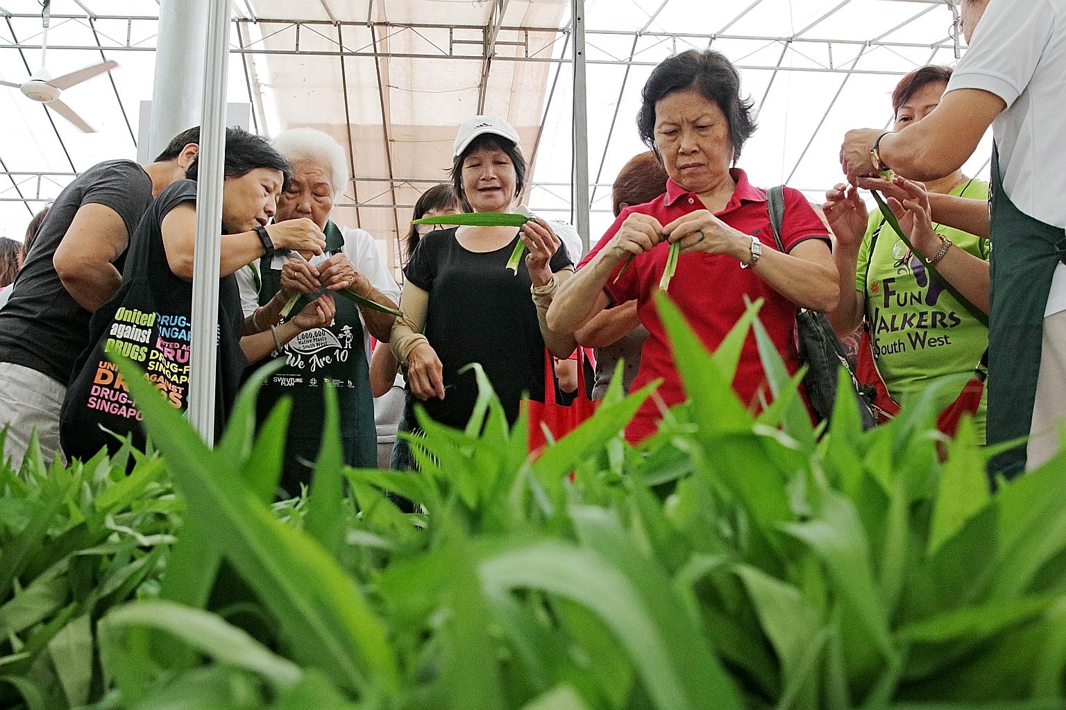 Volunteers teaching residents some basics on gardening at a community garden in Jurong West.