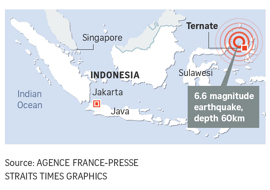 Strong 6.6-magnitude Quake Hits Off Indonesia | The Straits Times