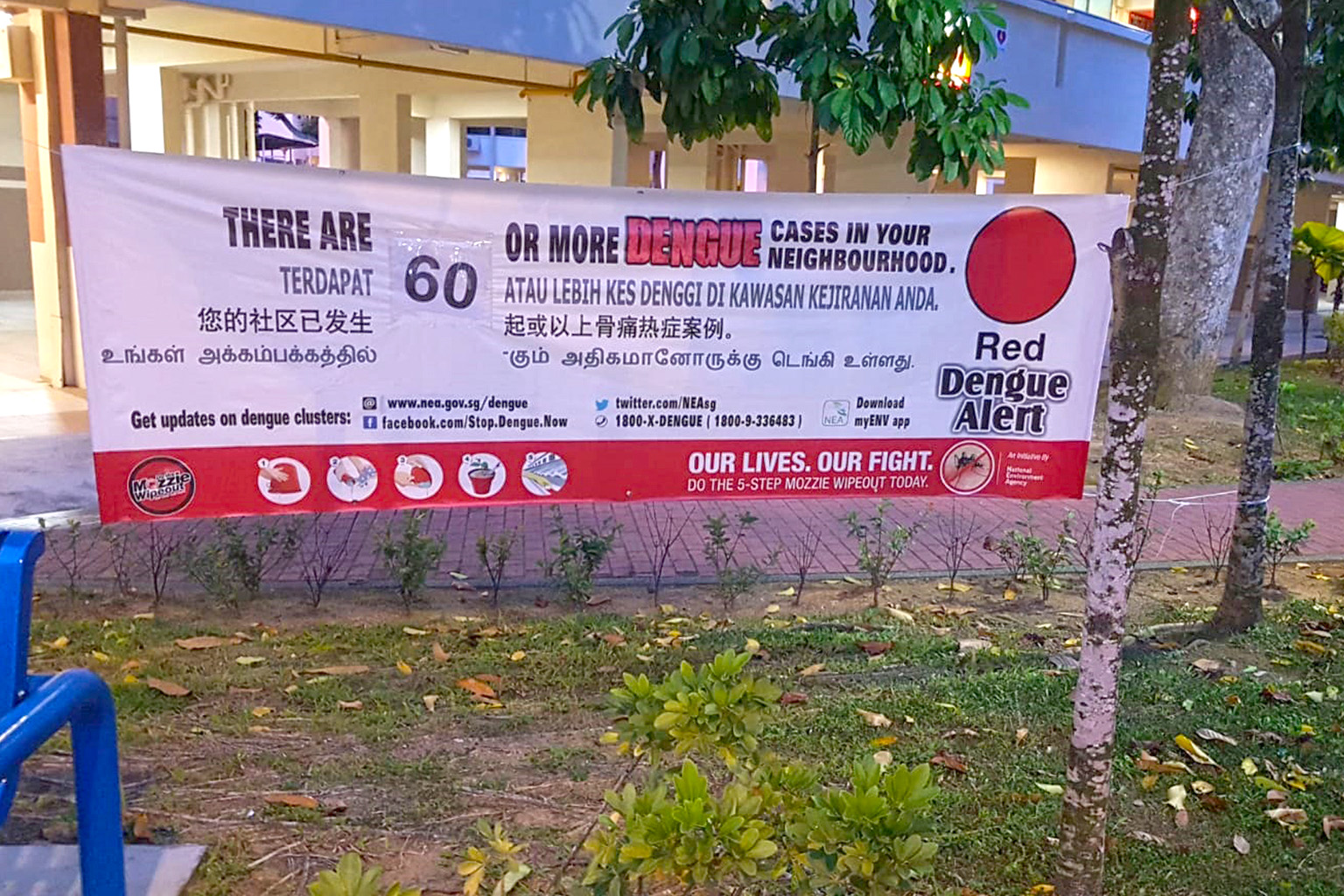 The National Environment Agency says that the increased Aedes mosquito population in the community, coupled with the high current number of dengue cases, may lead to a surge in case numbers this year.