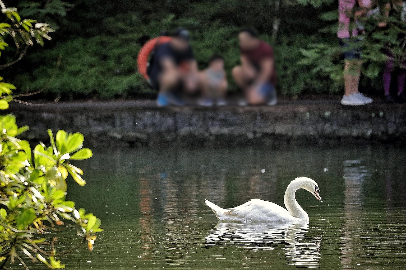 Last month, the High Court, in a landmark case, allowed a gay man, who lives with his partner, to adopt a child whom he had fathered in the United States through a surrogate mother.