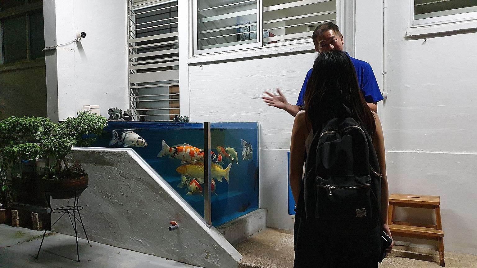 The owner of the flat enclosed the area surrounding the steps up to his ground-floor unit to form a glass tank housing around a dozen pet fish. HDB says the tank's position poses safety concerns.