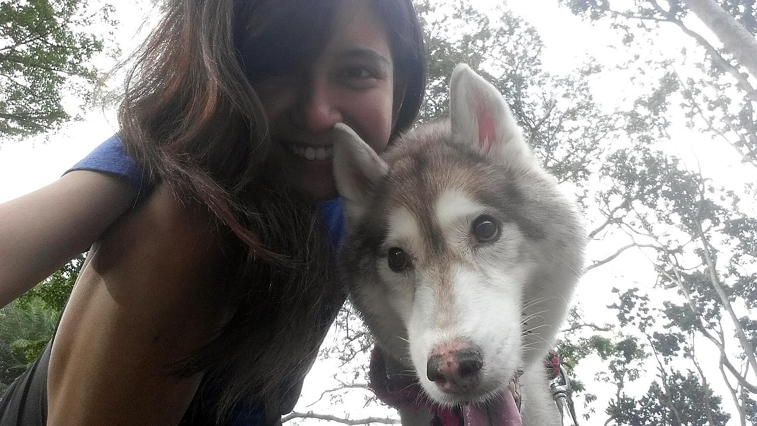 Video producer Denise De Cruz, 25, spent almost $30,000 to treat her Siberian husky Cody who was diagnosed with cancer. The treatment included three blood transfusions. Cody died last November and Miss De Cruz did not regret footing the hefty medical