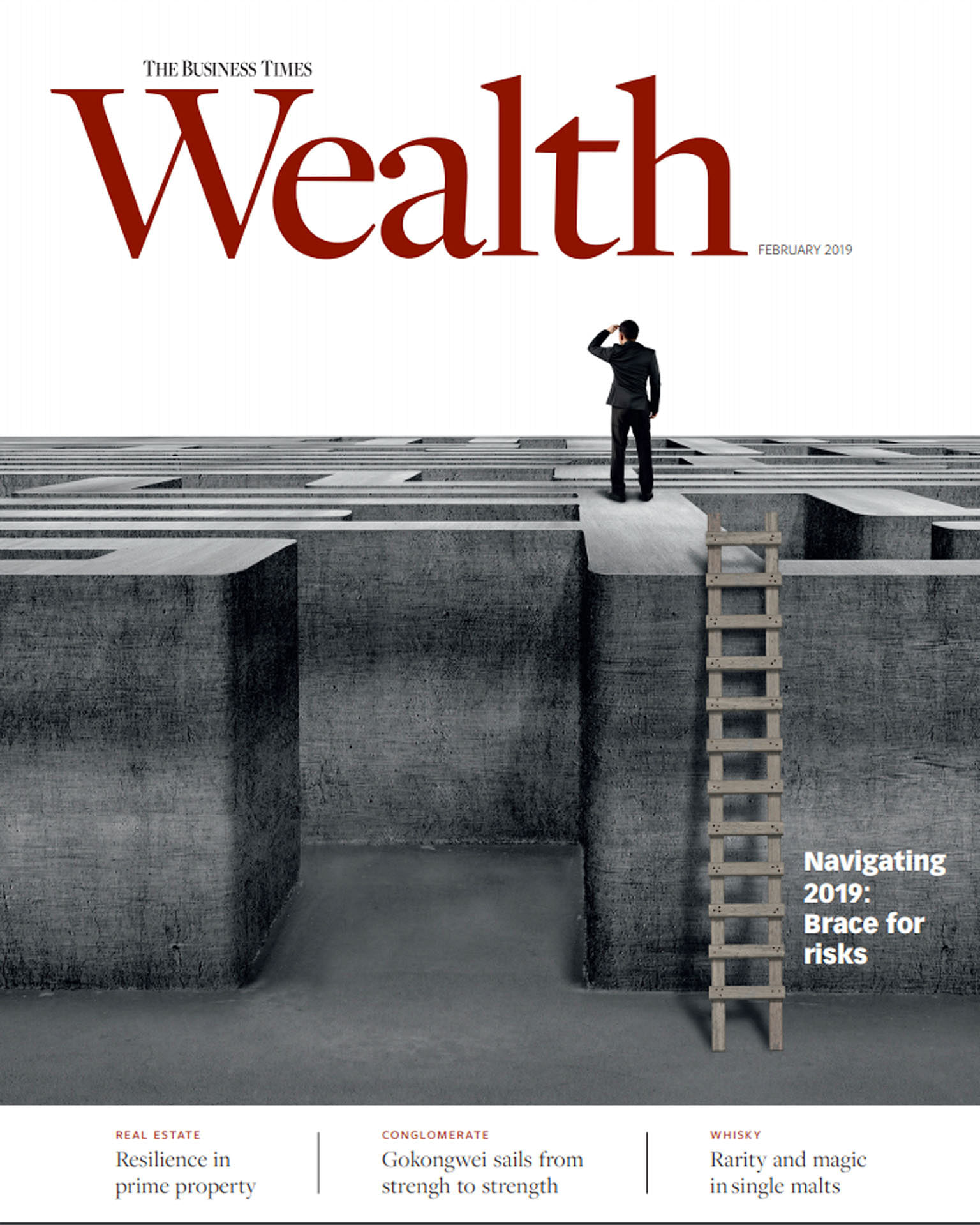 Wealth magazine's first edition for this year proffers a cogent view of asset markets at a time when volatility threatens to keep investors on the sidelines.