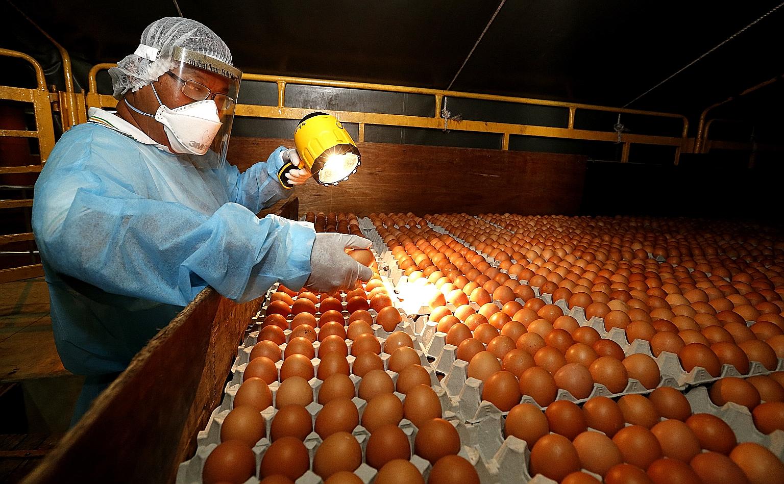Stressing that food security is fundamental to Singapore's national security, Minister for the Environment and Water Resources Masagos Zulkifli said Singapore must not be over-reliant on any single food source. He recounted how Malaysia announced las