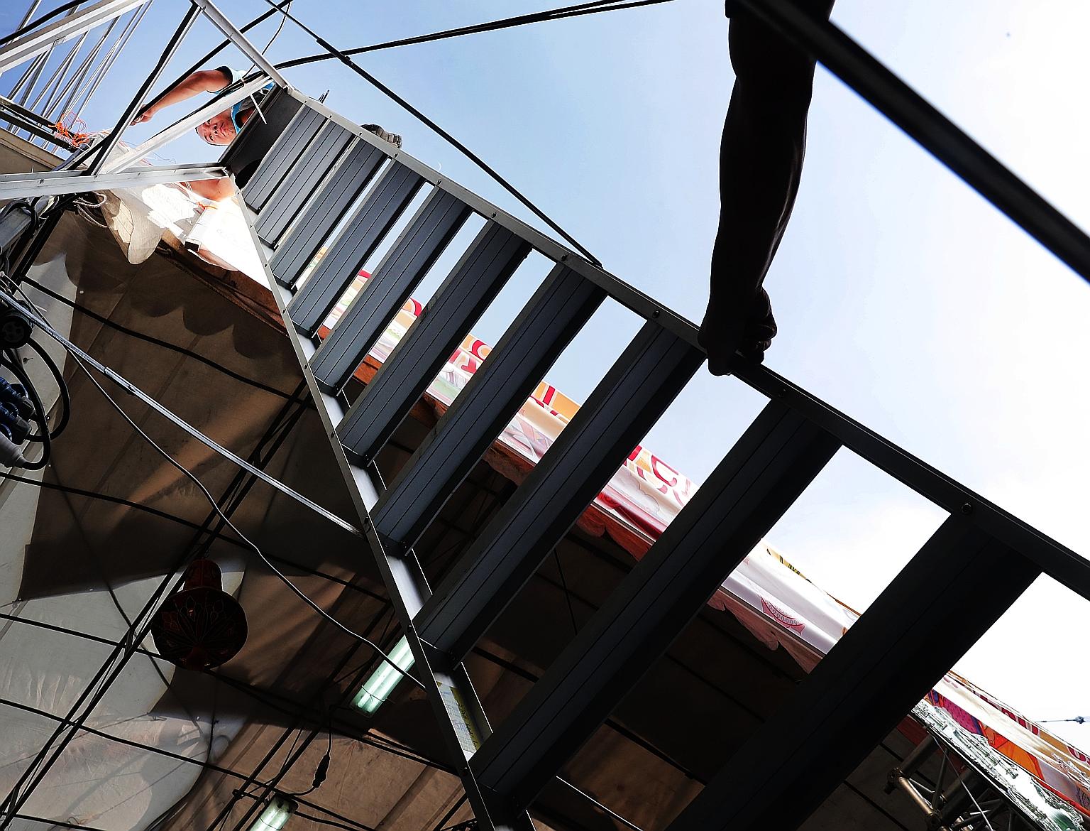 Endah (at right), the six-year-old granddaughter of the Singapore Zoo's legendary Ah Meng, stretching herself in the sun next to Joko (far left), also six, at the free-ranging enclosure for orang utans on Dec 26. Both orang utans were born at the zoo
