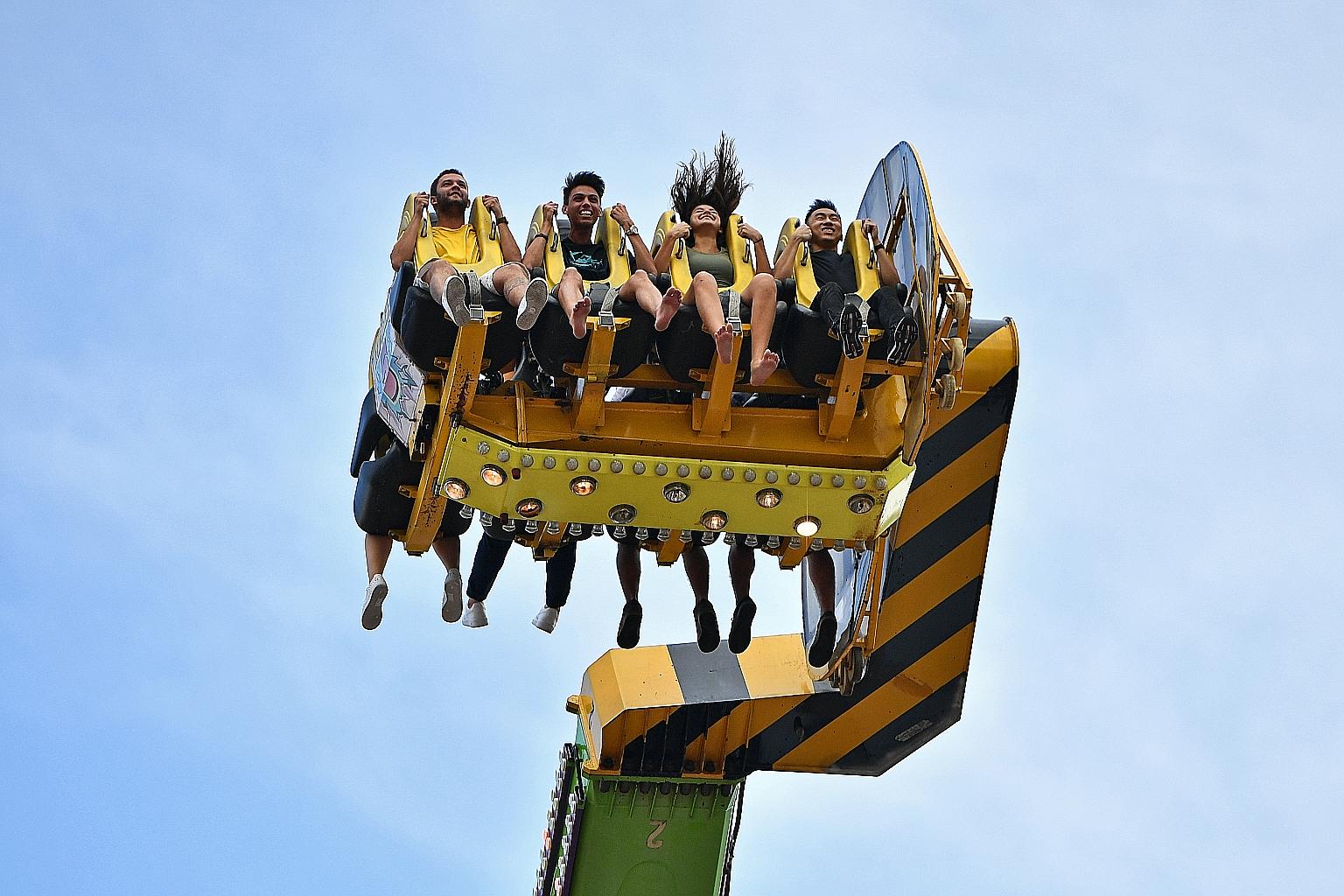 Endah (at right), the six-year-old granddaughter of the Singapore Zoo's legendary Ah Meng, stretching herself in the sun next to Joko (far left), also six, at the free-ranging enclosure for orang utans on Dec 26. Both orang utans were born at the zoo