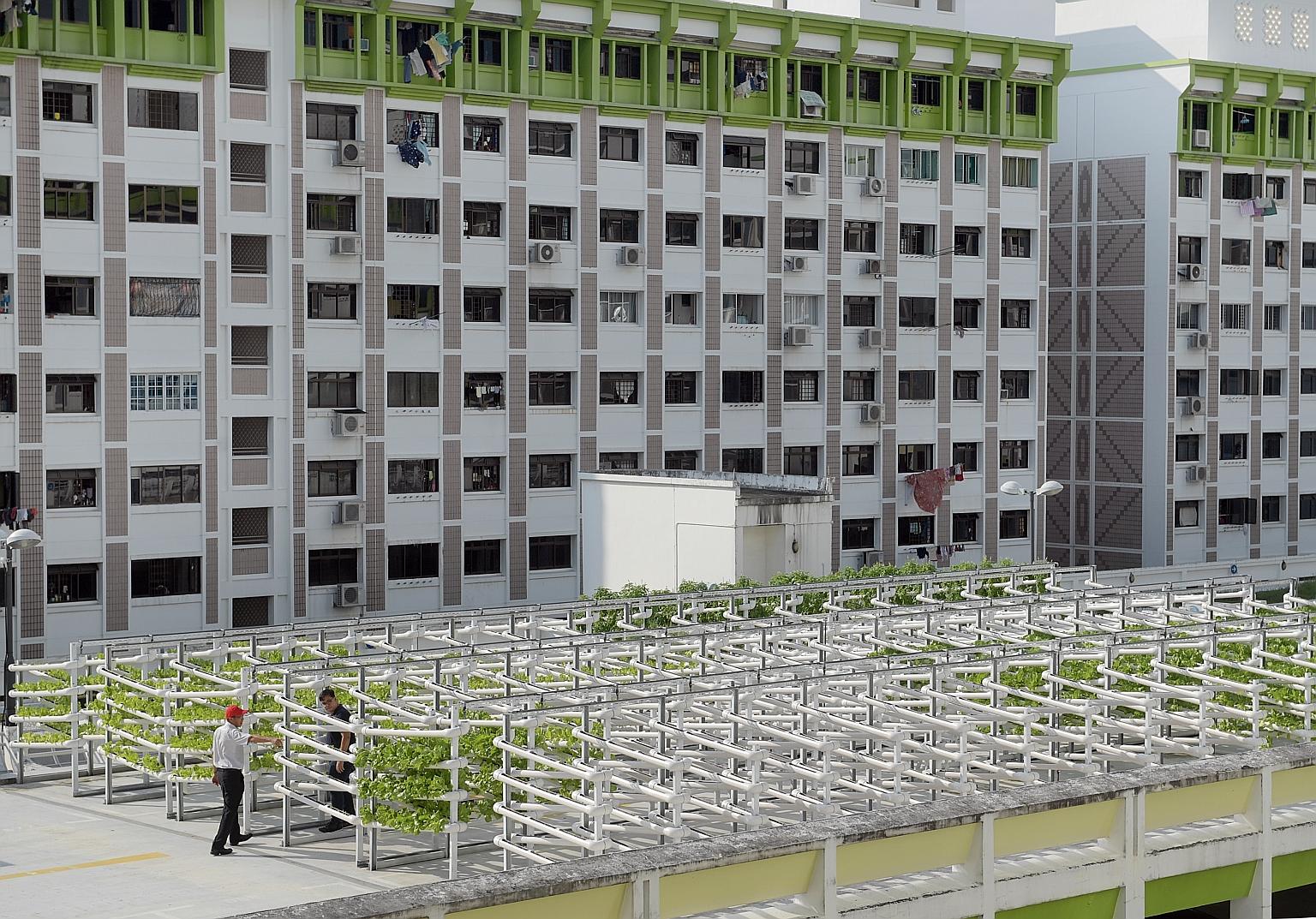 Among Singapore's agri-tech pioneers is Citiponics, which has a rooftop farm in Kang Ching Road in Jurong, as well as one on top of a multi-storey carpark in Ang Mo Kio. The firm was highlighted by Senior Minister of State for Trade and Industry Koh