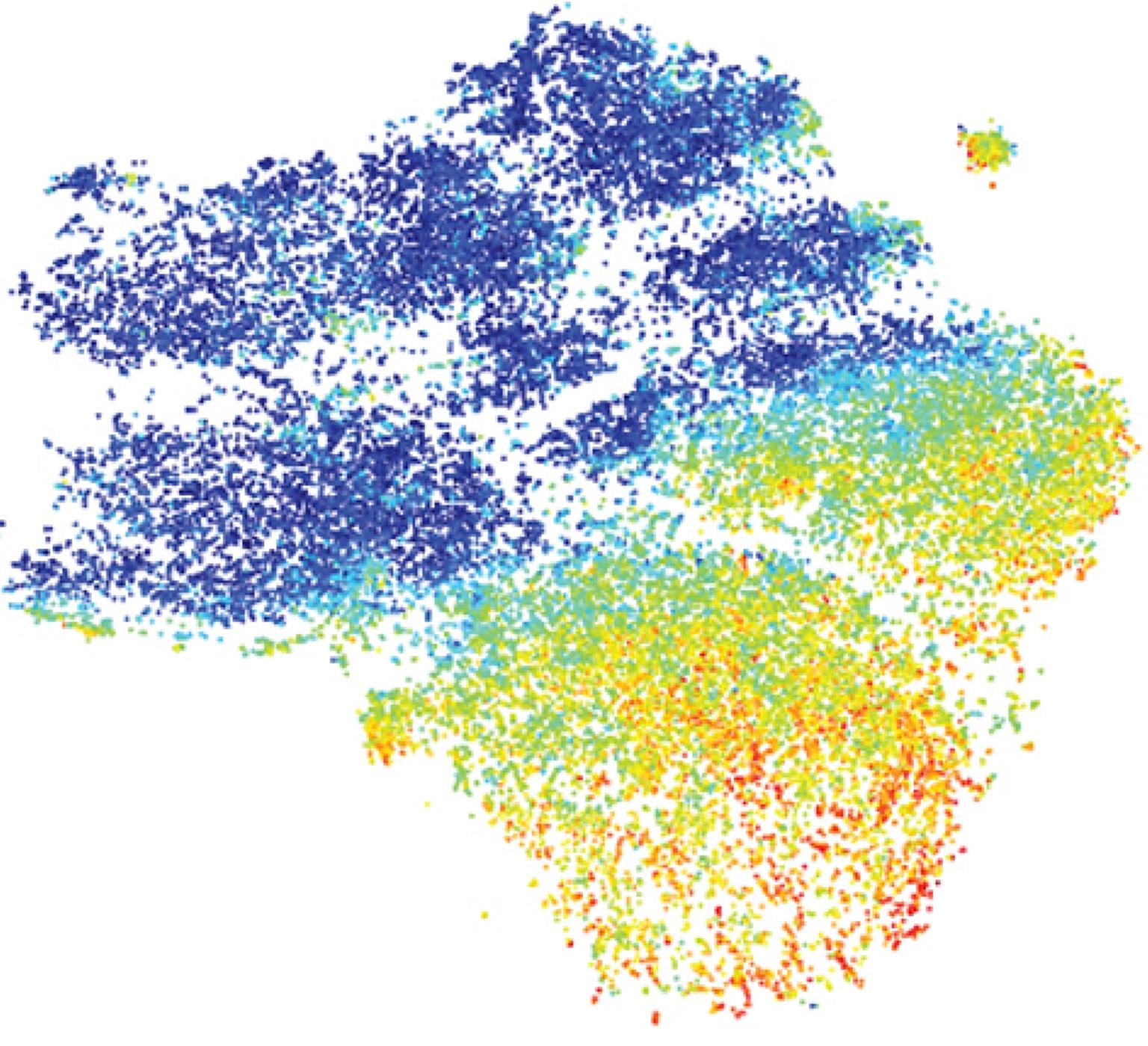 TILs in human lung cancer and expression of CD39 by these cells (in green and red).