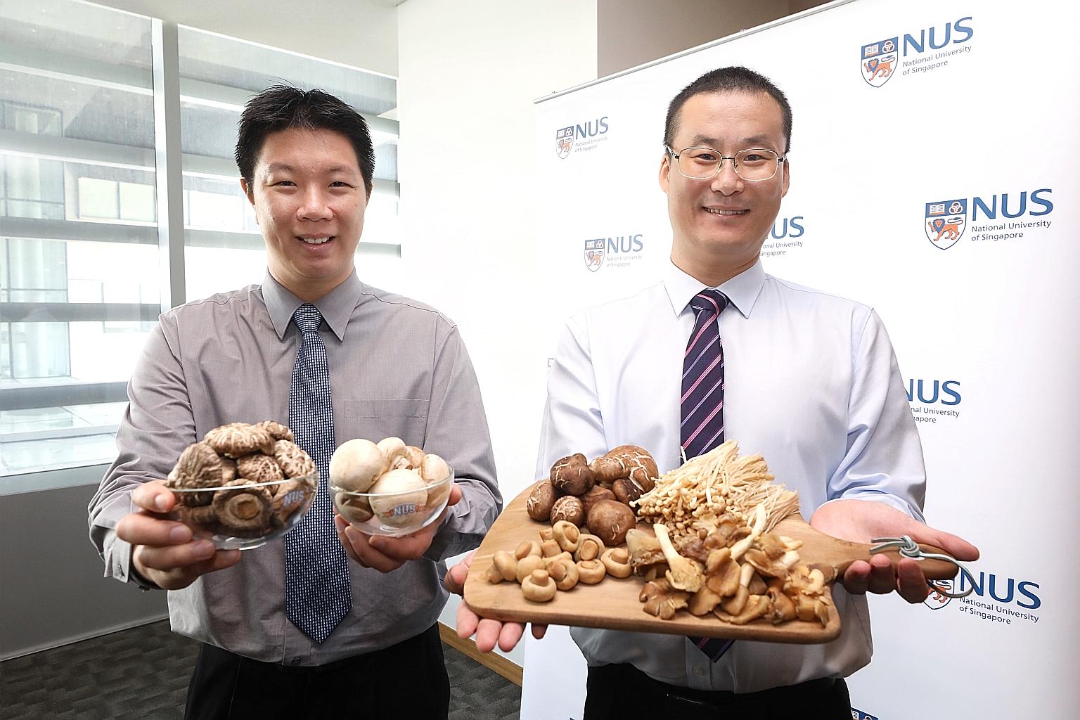 Dr Irwin Cheah (left) and Associate Professor Feng Lei, from the National University of Singapore, monitored over 600 seniors' intake of six types of mushrooms commonly eaten in Singapore.