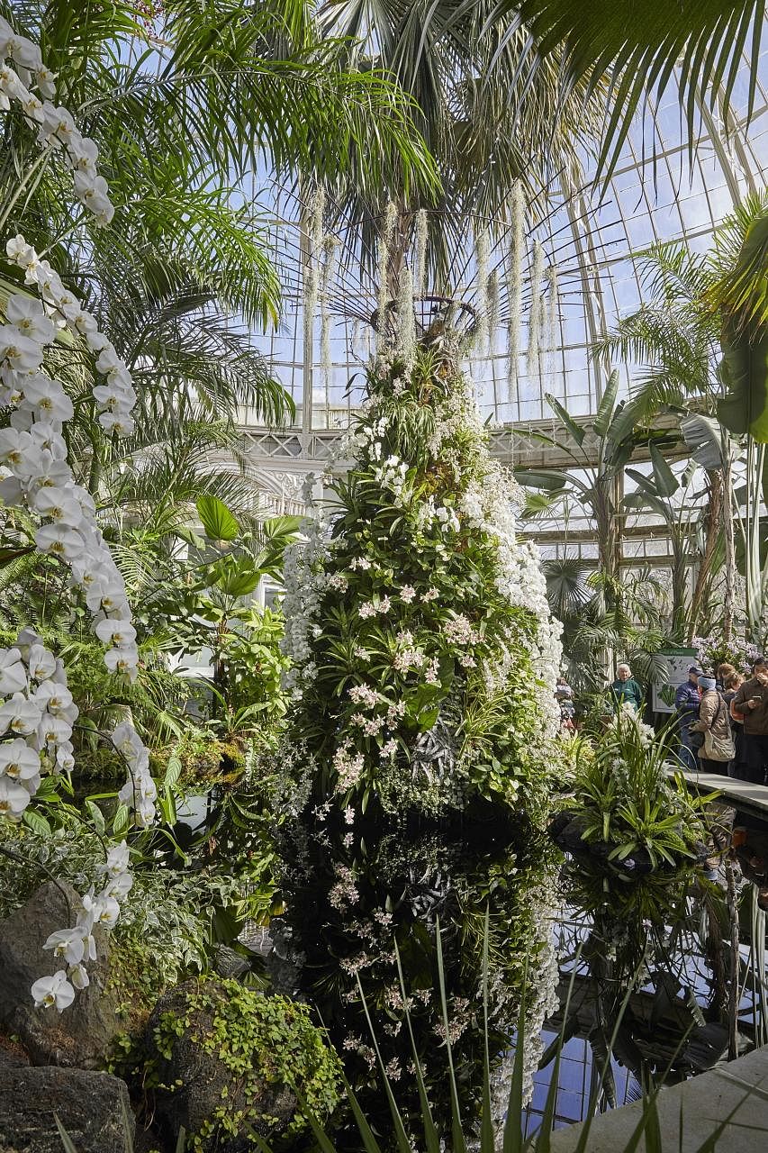 Exhibits at The Orchid Show: Singapore in New York include Phalaenopsis hybrids (above), a promenade of arches decorated with orchids (top) as well as replicas (left) of the Supertrees in Singapore's Gardens by the Bay.