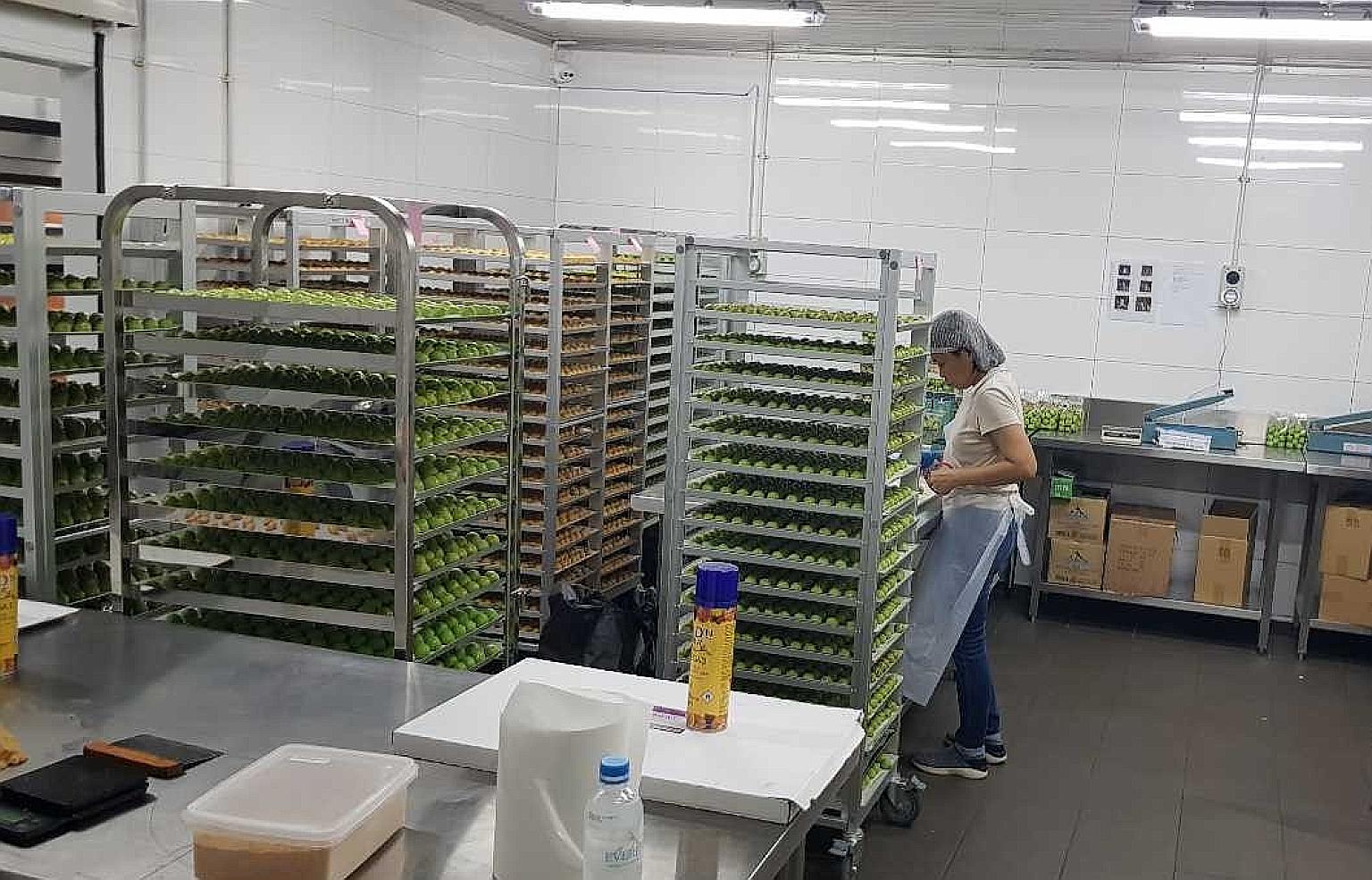 Baker's Brew Studio was discovered operating a food establishment without a licence during a regular inspection in January.