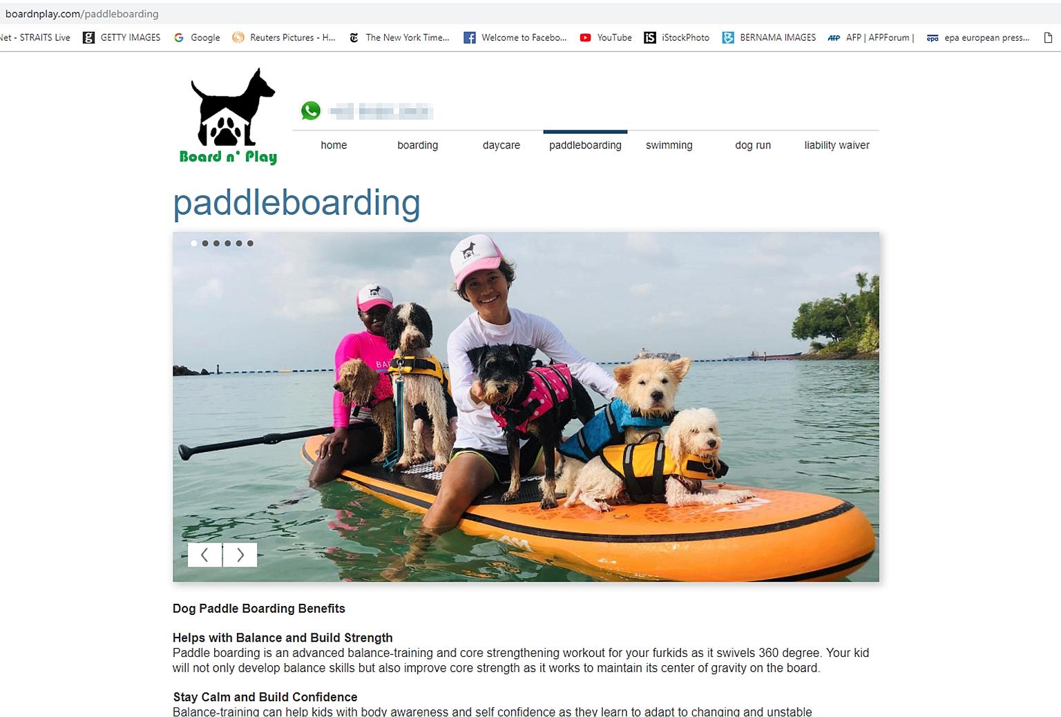 A screen grab of pet boarding and daycare company Board N' Play's website. Ms Naida Ginnane said that Garfield, a one-year-old Maltese, had slipped off a paddle board, but the company denied this. PHOTO: BOARDNPLAY. COM/PADDLEBOARDING