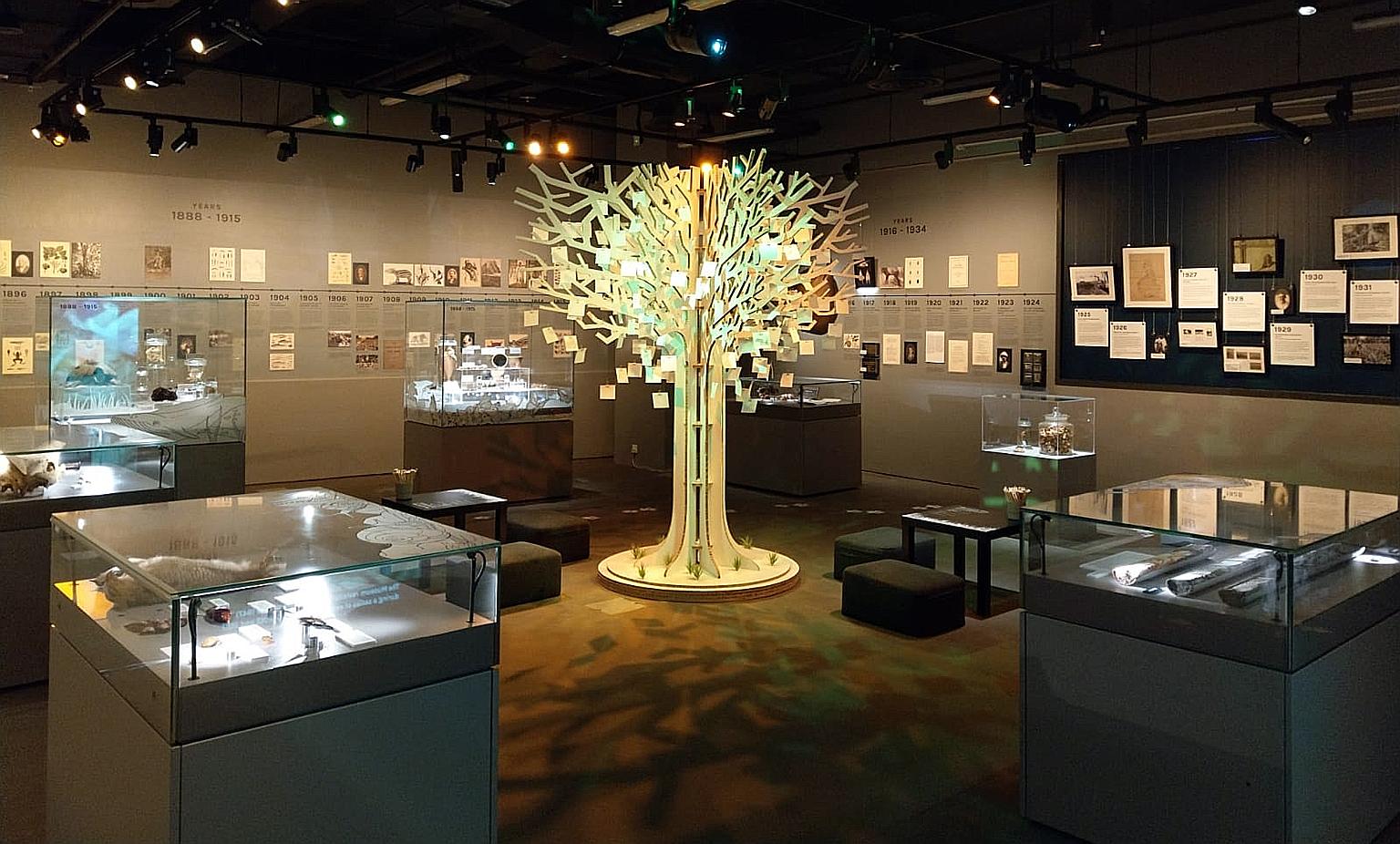 Some of the exhibits on display at the year-long exhibition, 200: A Natural History, at the Lee Kong Chian Natural History Museum. Held in conjunction with the Singapore Bicentennial, it aims to help the public "understand and appreciate our natural 