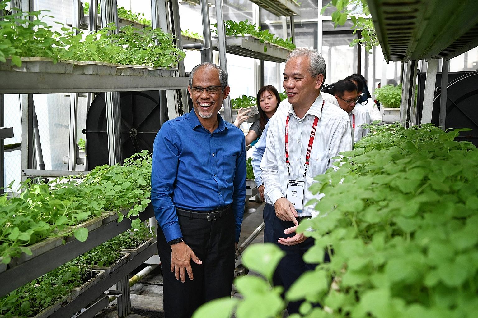 Environment and Water Resources Minister Masagos Zulkifli with Sky Greens founder Jack Ng during a visit to the vertical farm in Lim Chu Kang yesterday. Mr Masagos, who witnessed the certification presentation, noted the growth potential for local fa