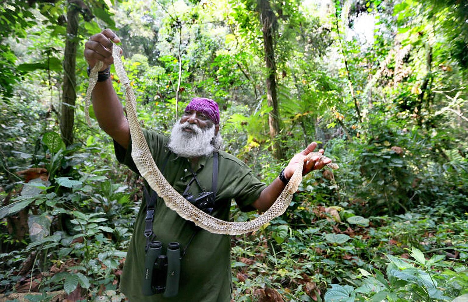 Wildlife expert and conservationist Subaraj Rajathurai holding up the shed skin of a black spitting cobra that he found during a walk at MacRitchie Reservoir earlier this month. He hopes that the environment will continue to be an important issue und