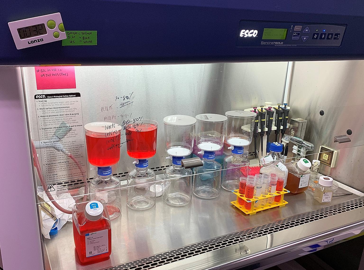 Cell culture media being prepared in the Smart Camp laboratory at the Campus for Research Excellence and Technological Enterprise at the National University of Singapore.